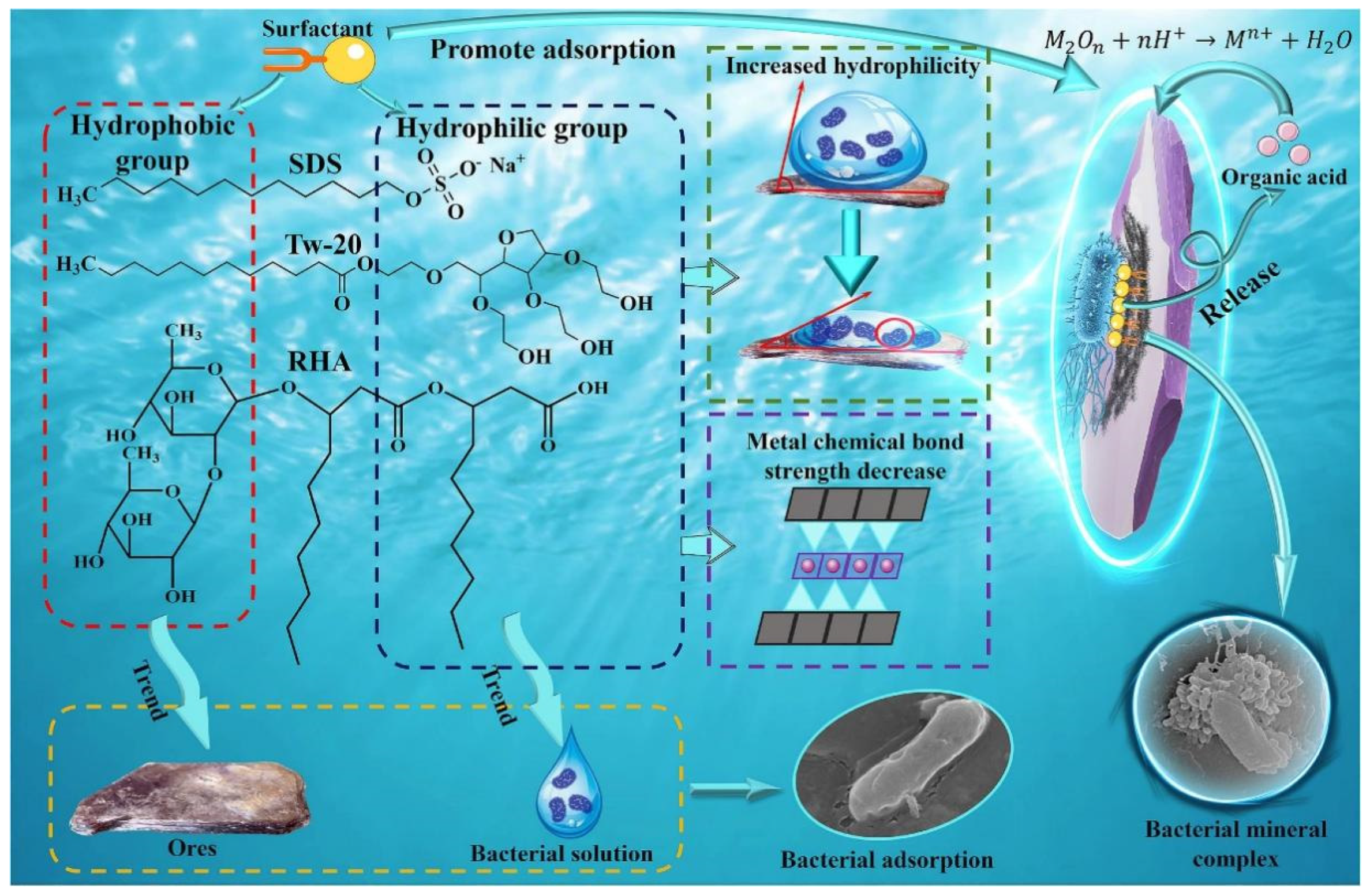 Separations 12 00130 g015