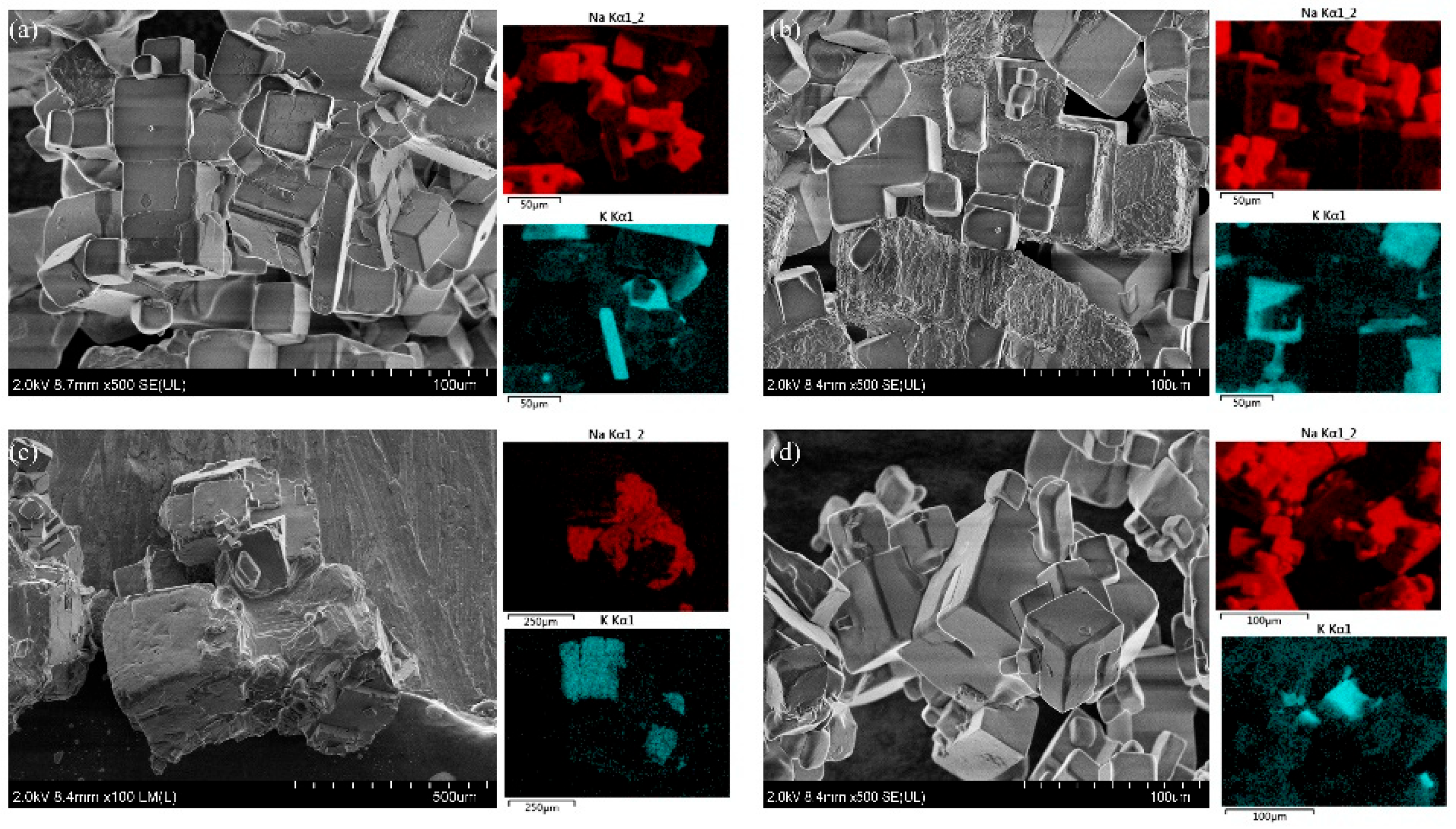 Separations 12 00131 g005