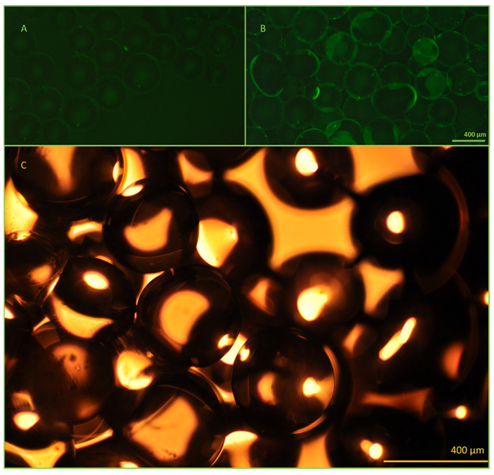 Separations 12 00134 g005