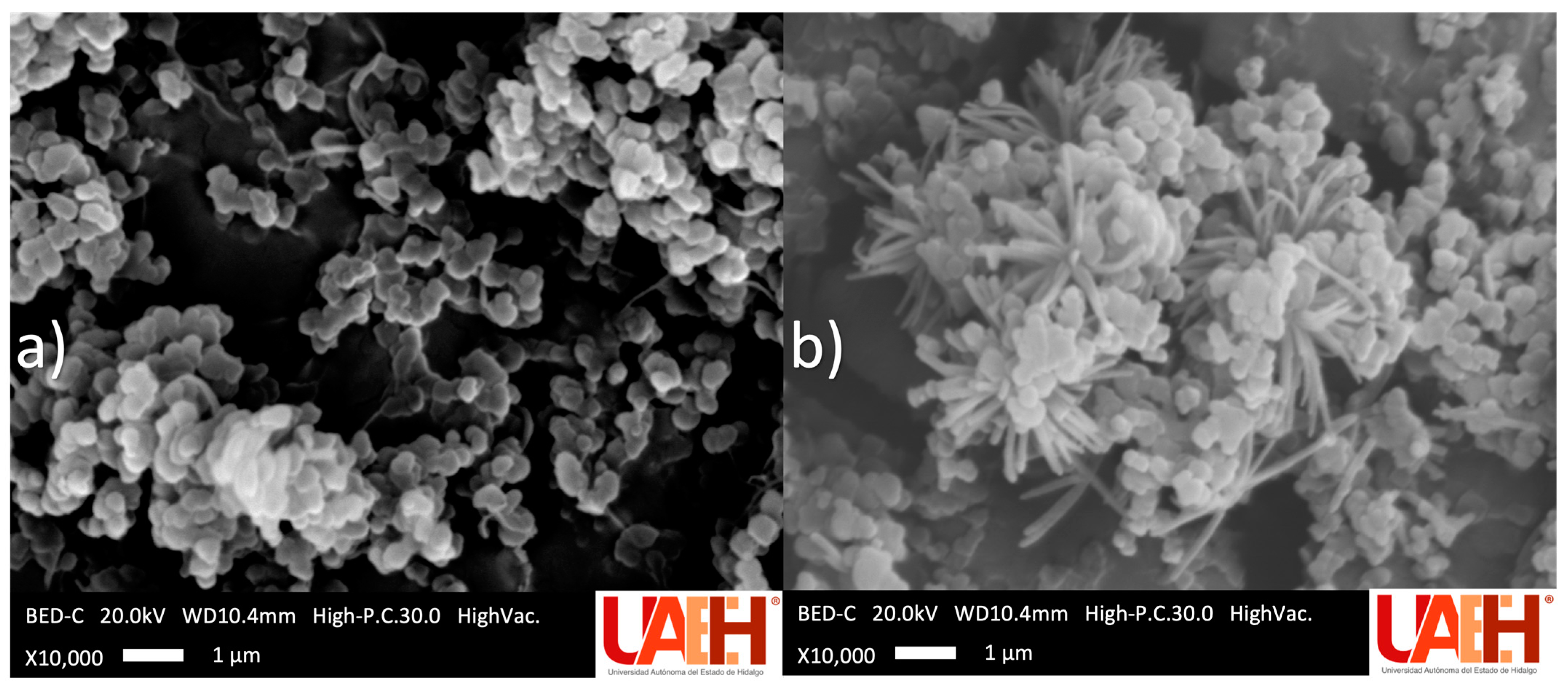 Separations 12 00140 g003