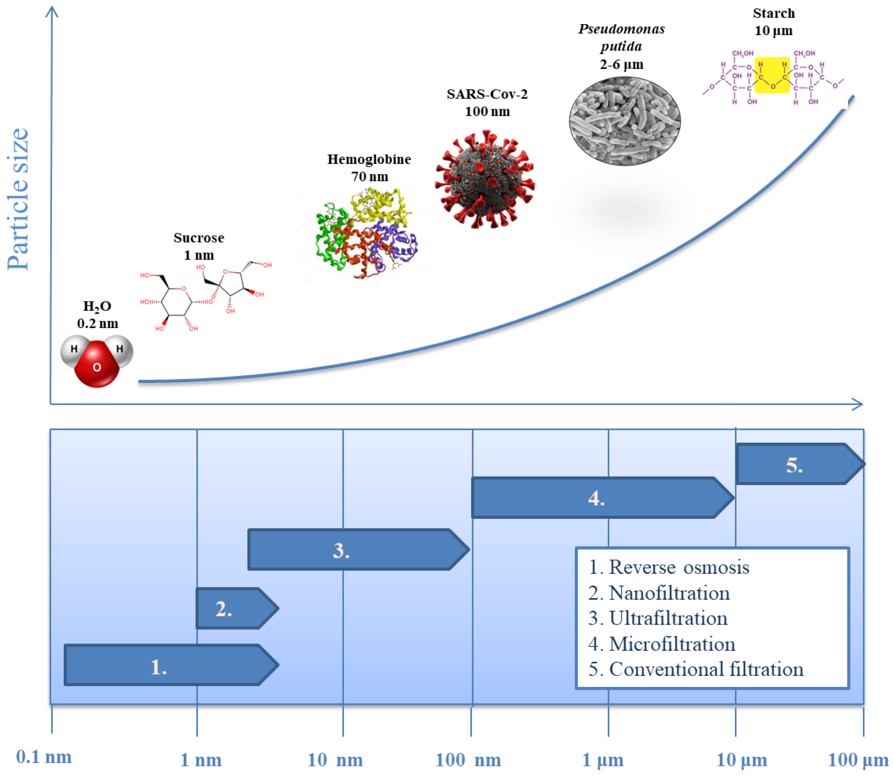 Separations 12 00162 g001
