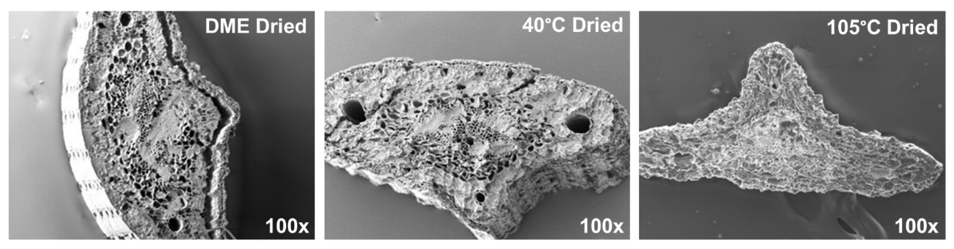 Separations 12 00169 g001 Separations 12 00169 g001