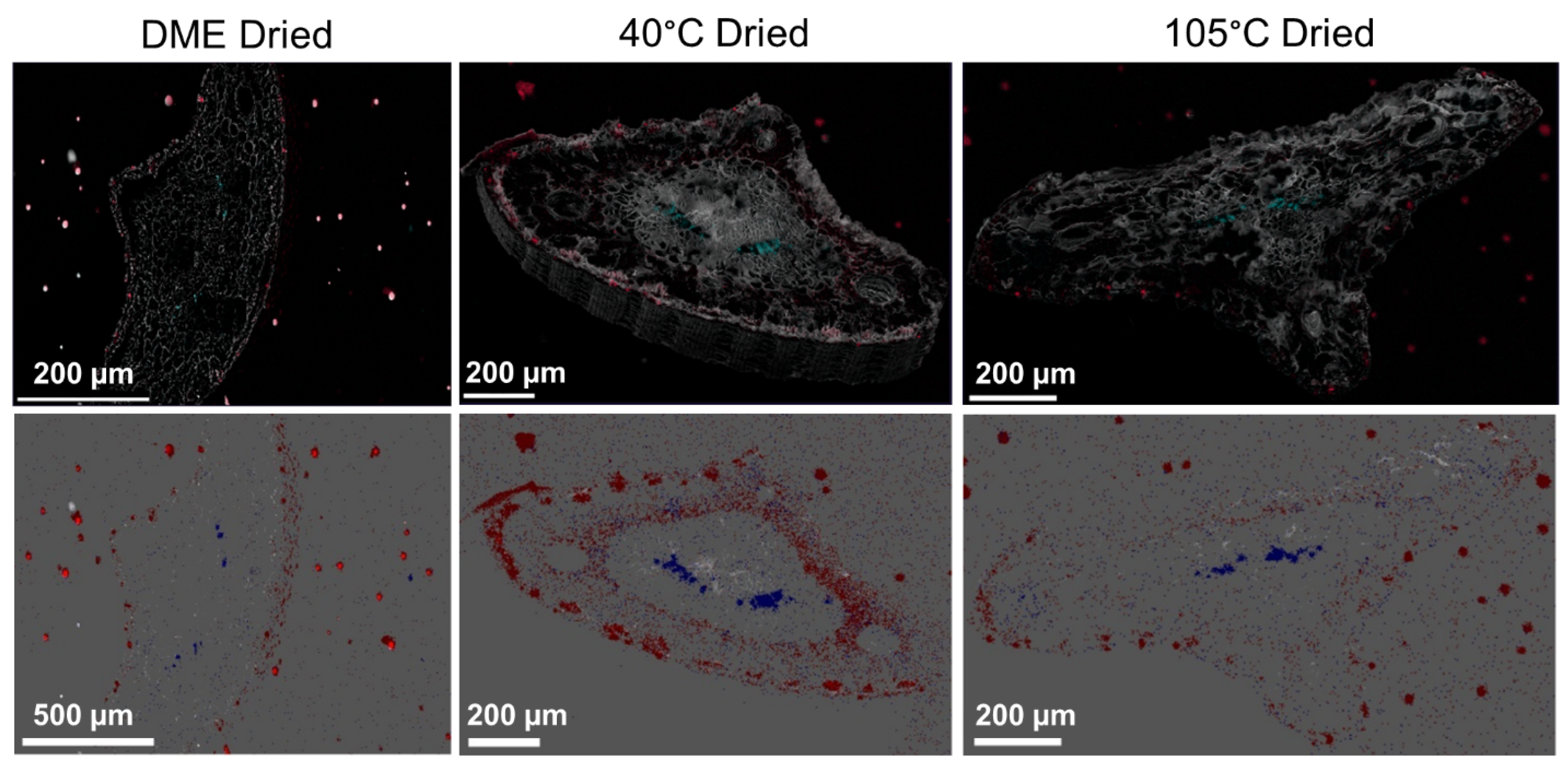 Separations 12 00169 g002 Separations 12 00169 g002