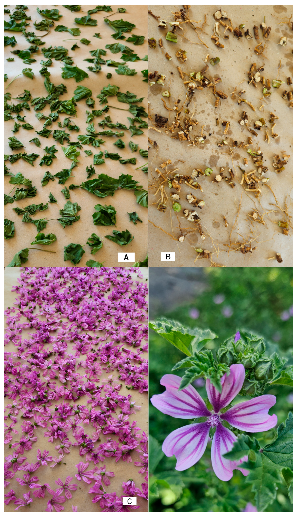 Separations 12 00187 g001