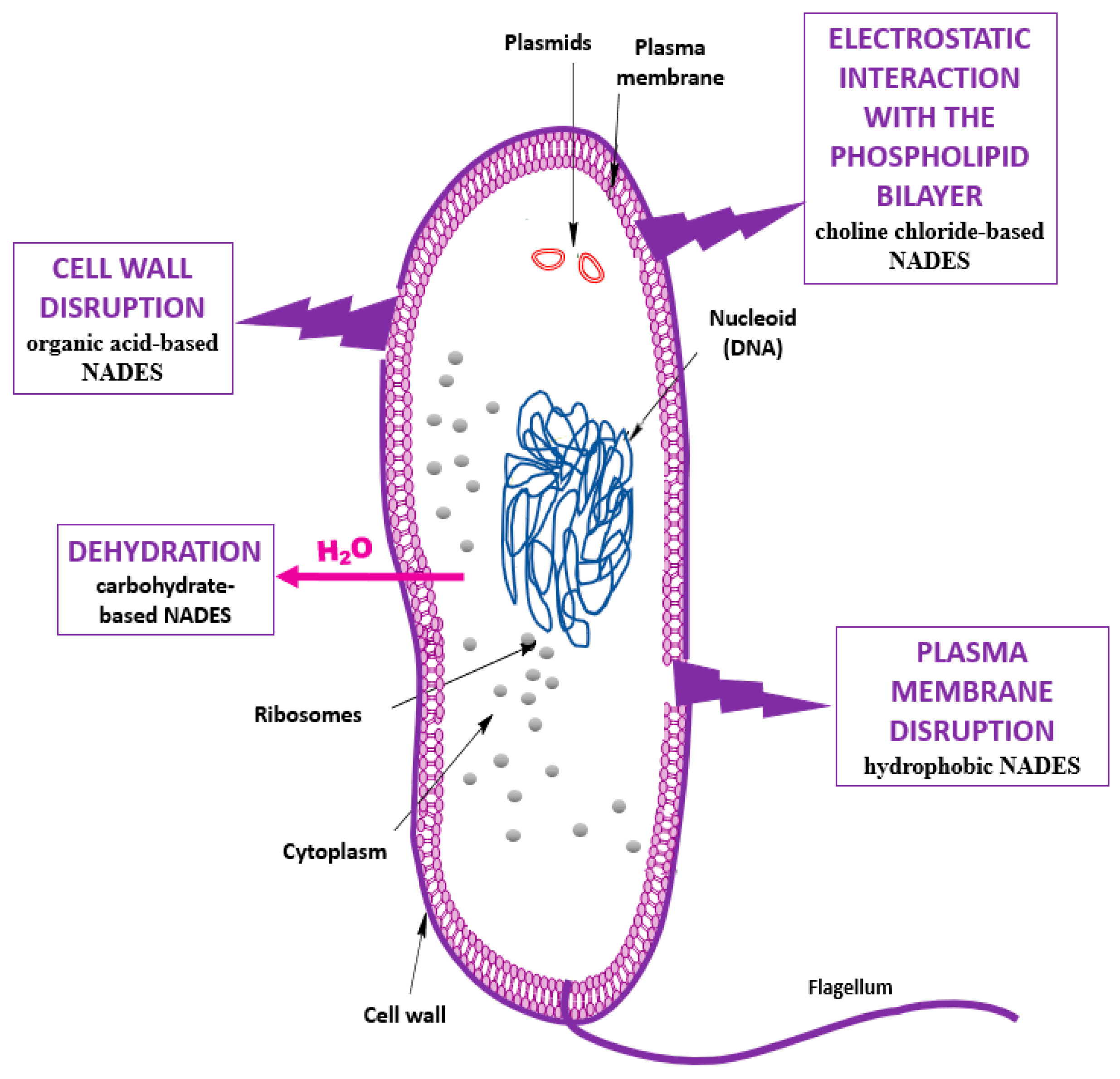 Separations 12 00187 sch001