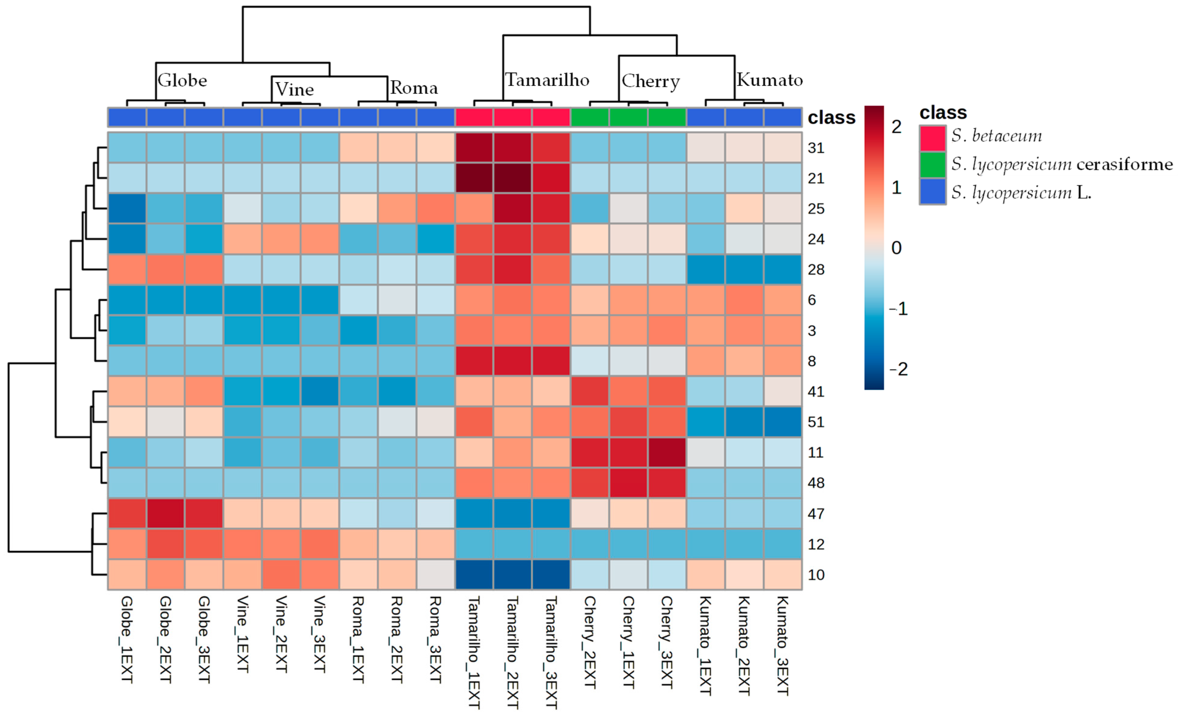 Separations 12 00188 g005