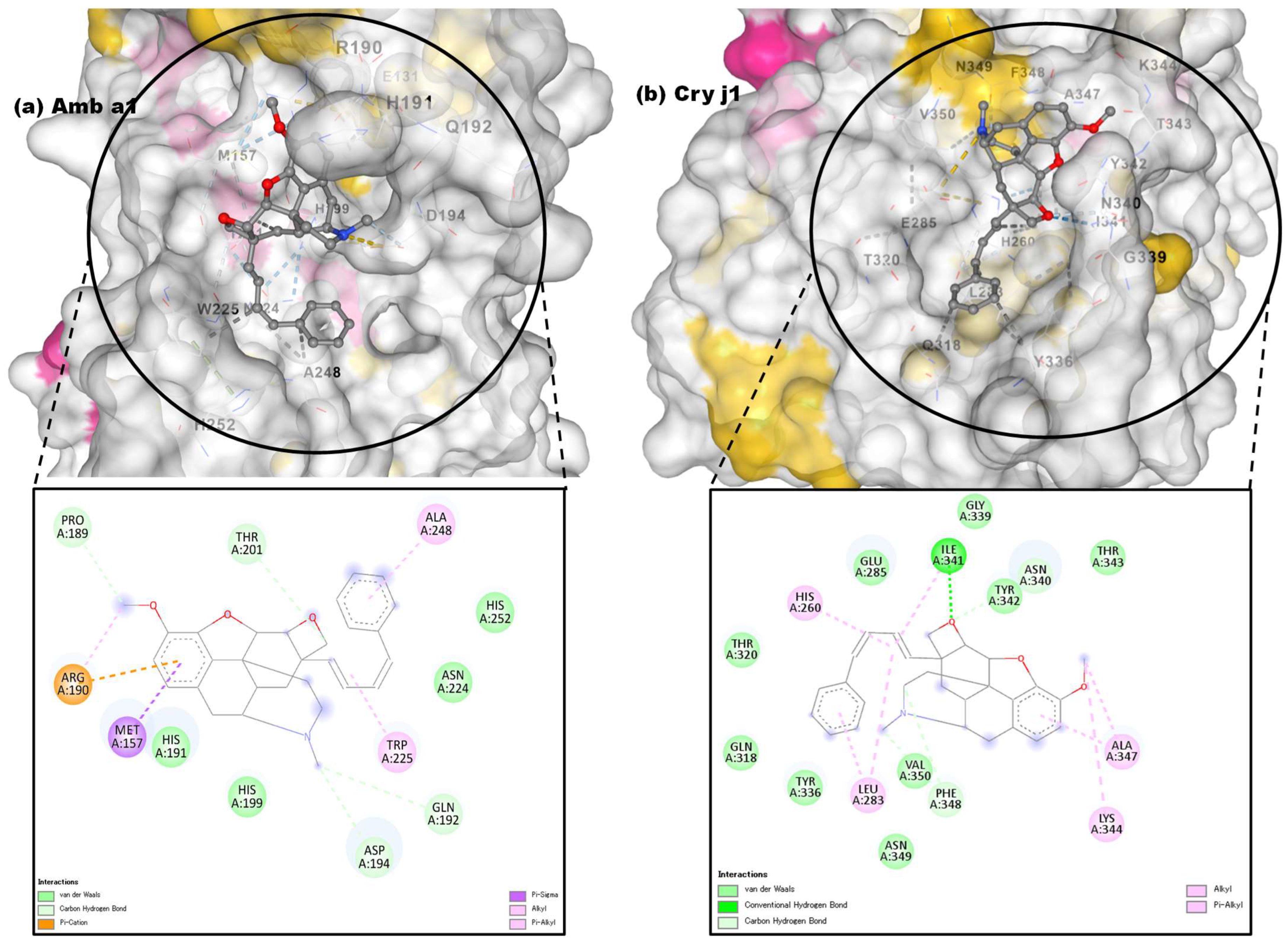 Separations 12 00214 g010