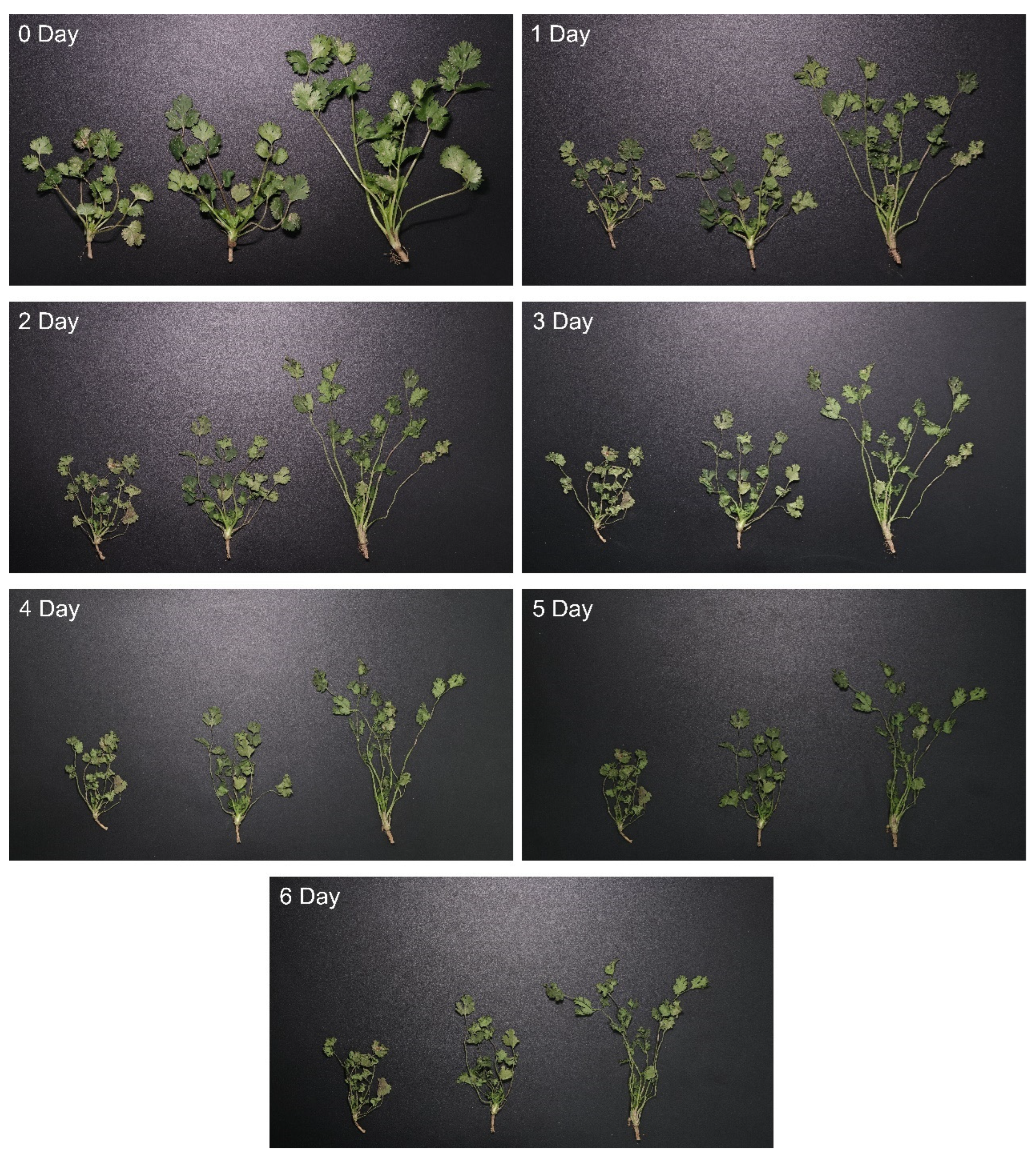 Separations 12 00217 g009 Separations 12 00217 g009