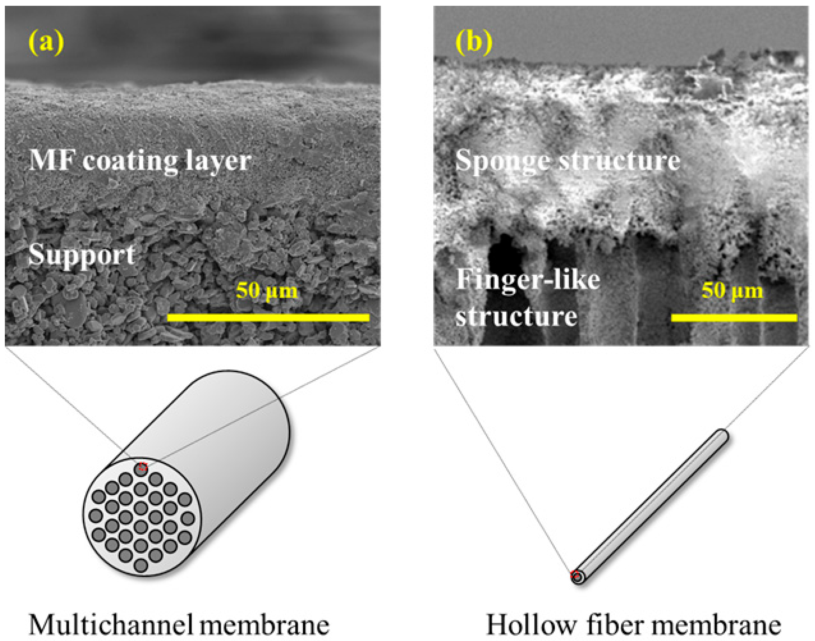 Separations 12 00220 g002