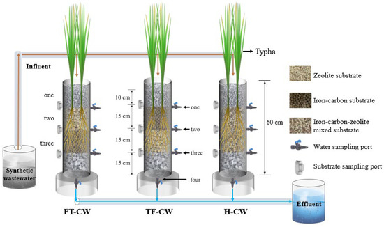 Effect of Iron–Carbon–Zeolite Substrate Configuration on Cadmium