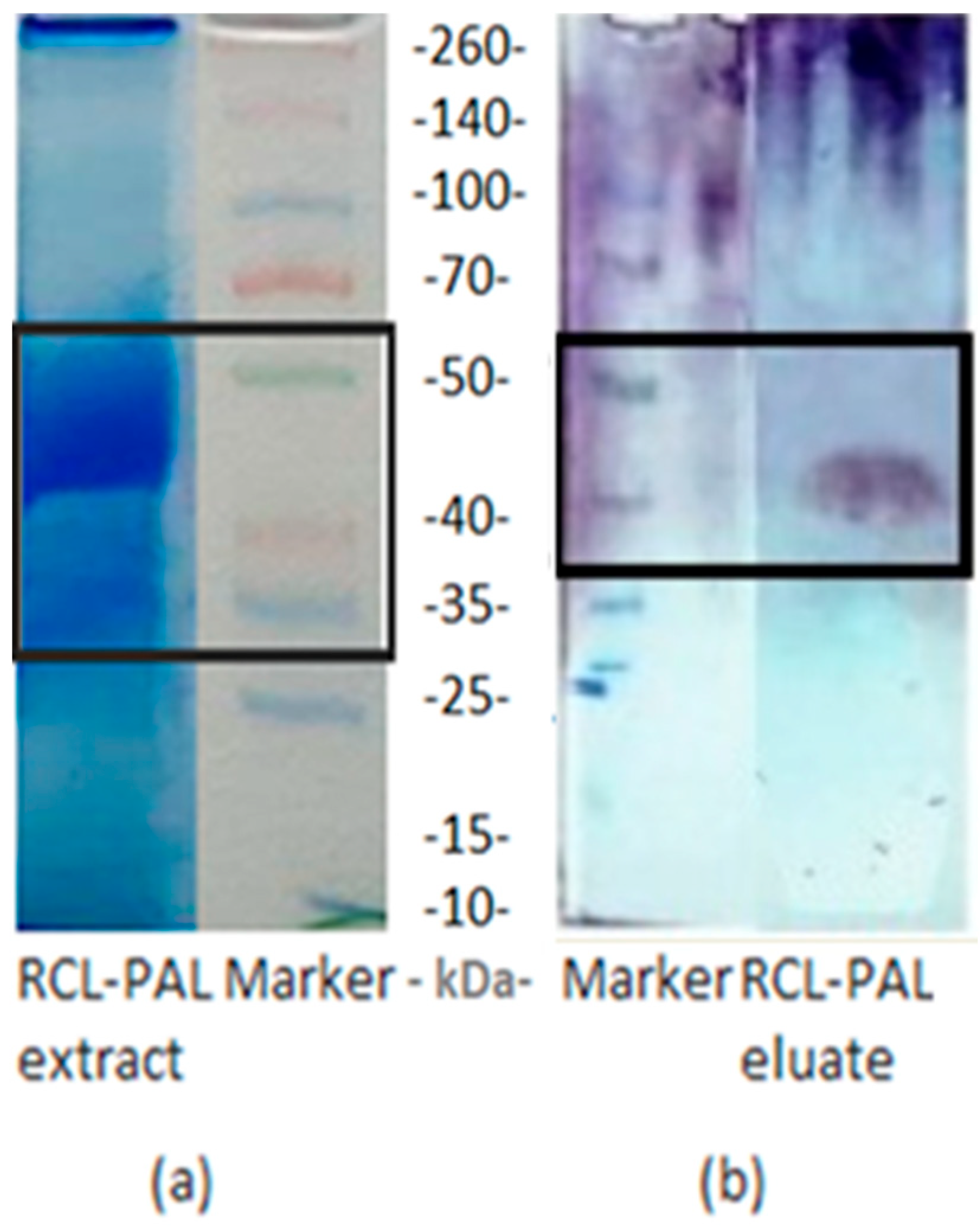 Separations 12 00241 g009 Separations 12 00241 g009