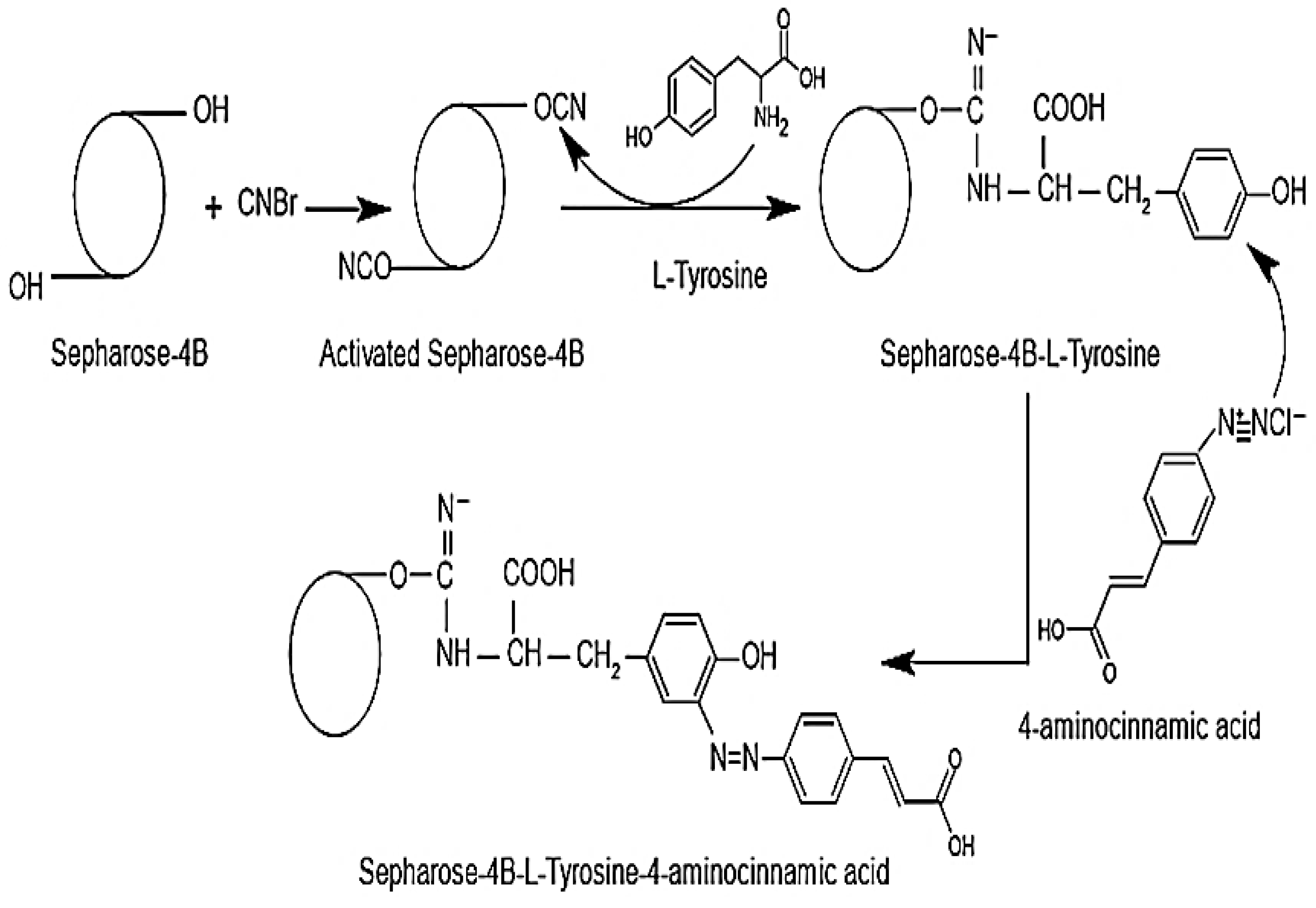 Separations 12 00241 sch001 Separations 12 00241 sch001
