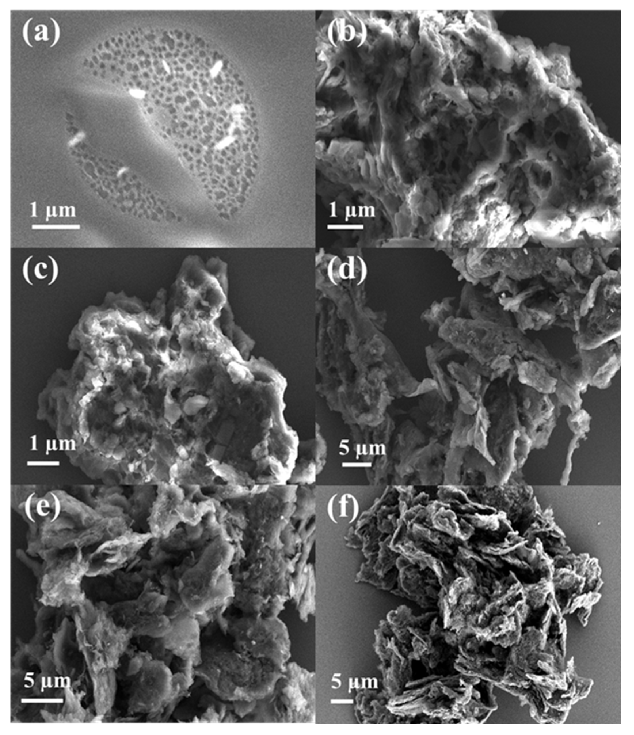 Separations 12 00247 g003
