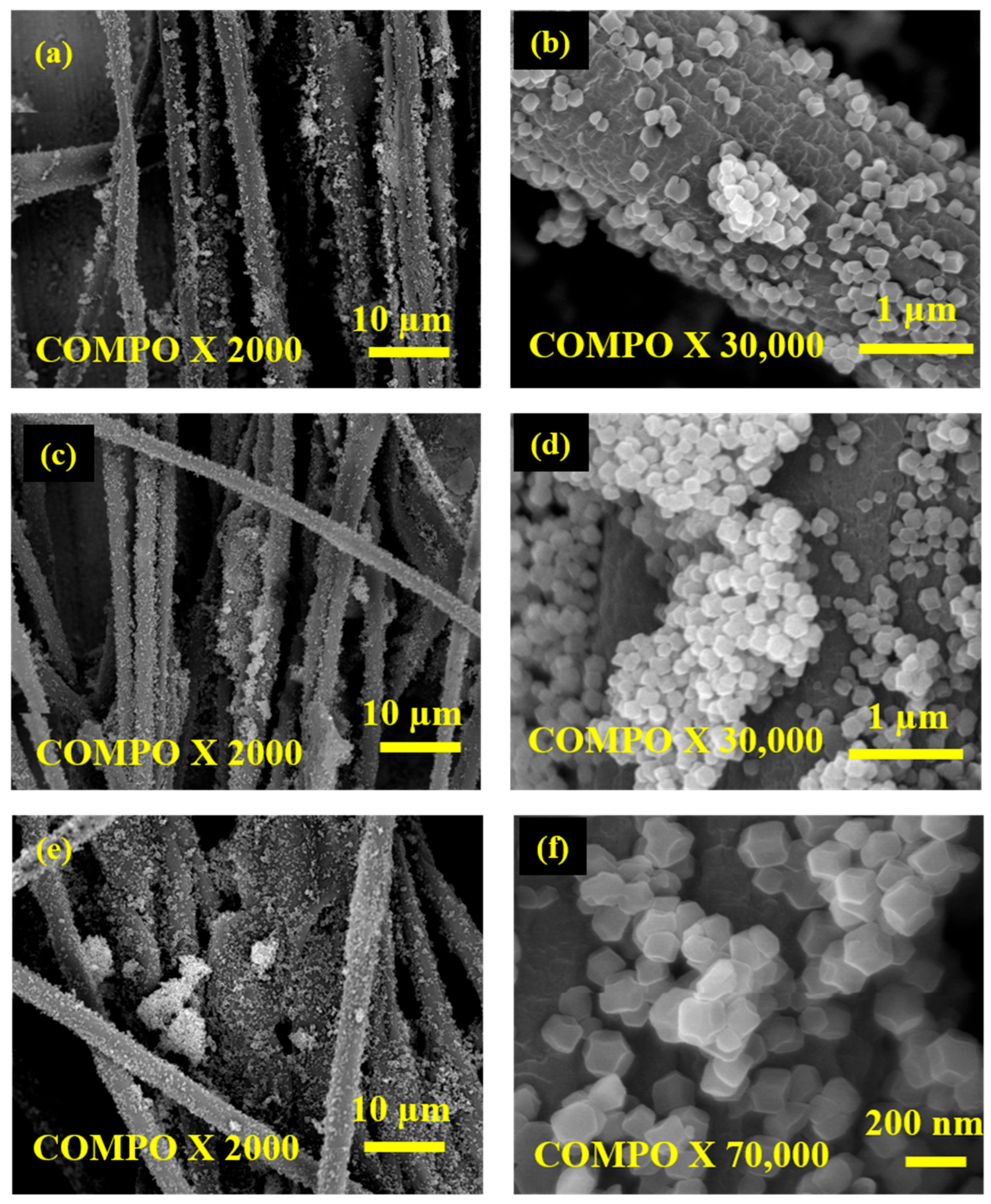 Separations 12 00248 g012