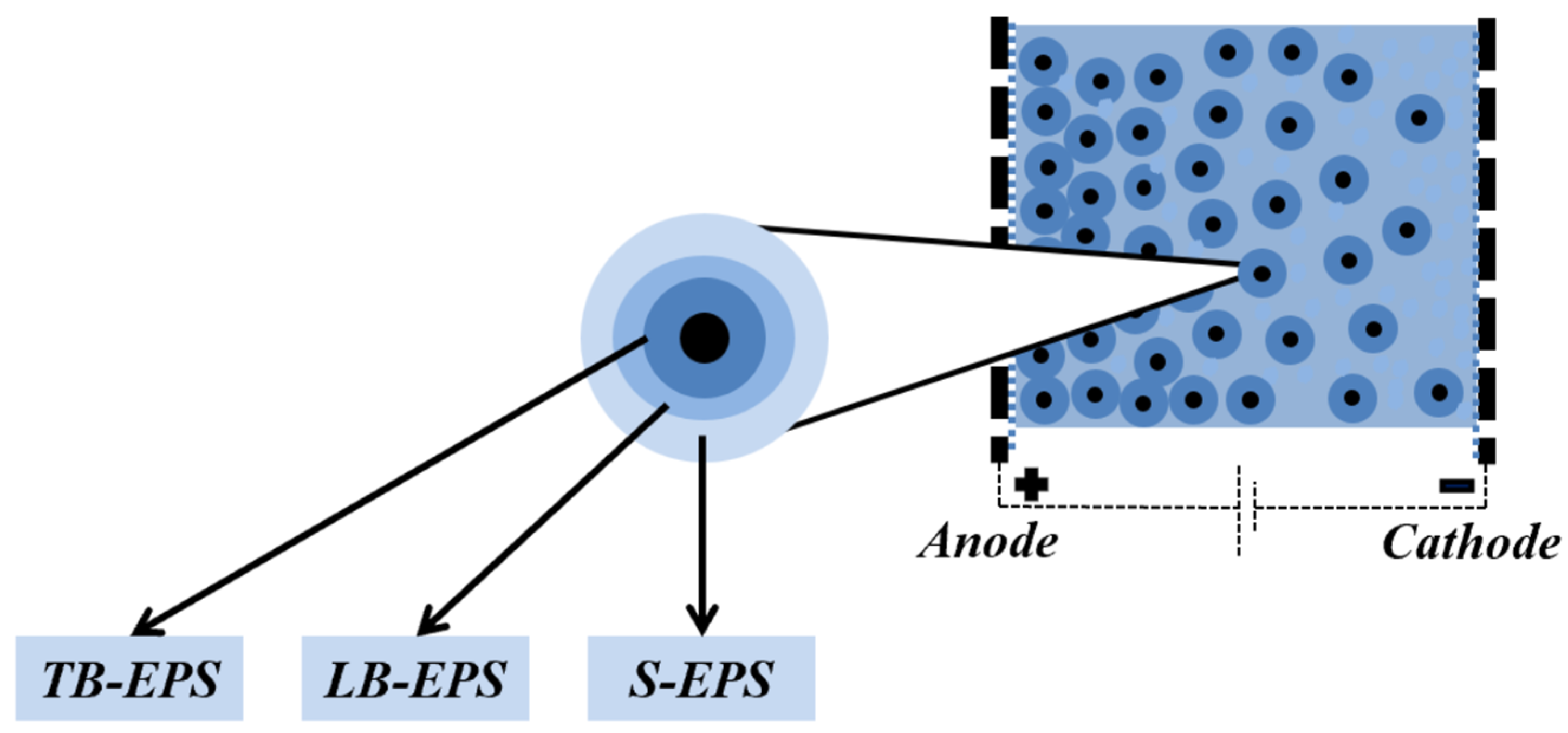 Separations 12 00262 g001