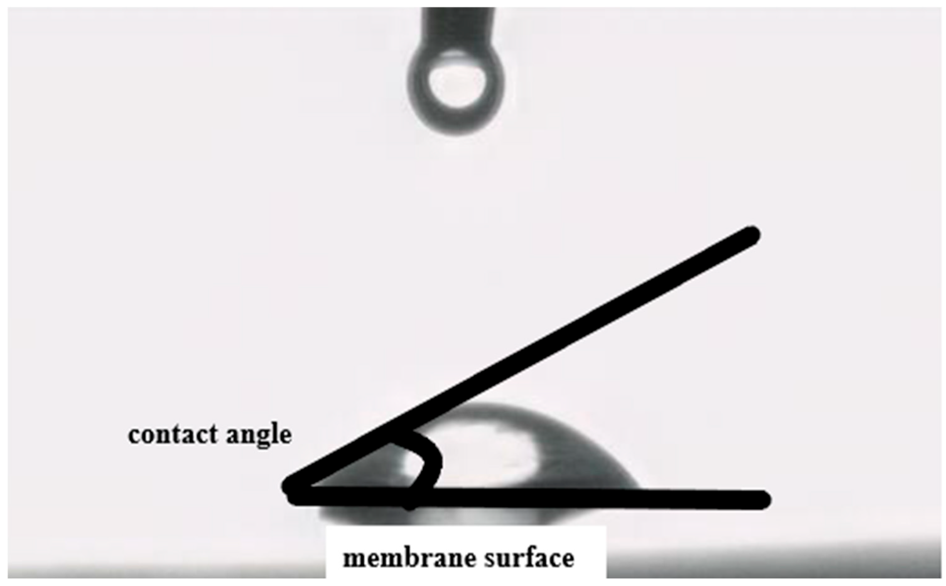 Separations 12 00272 g003