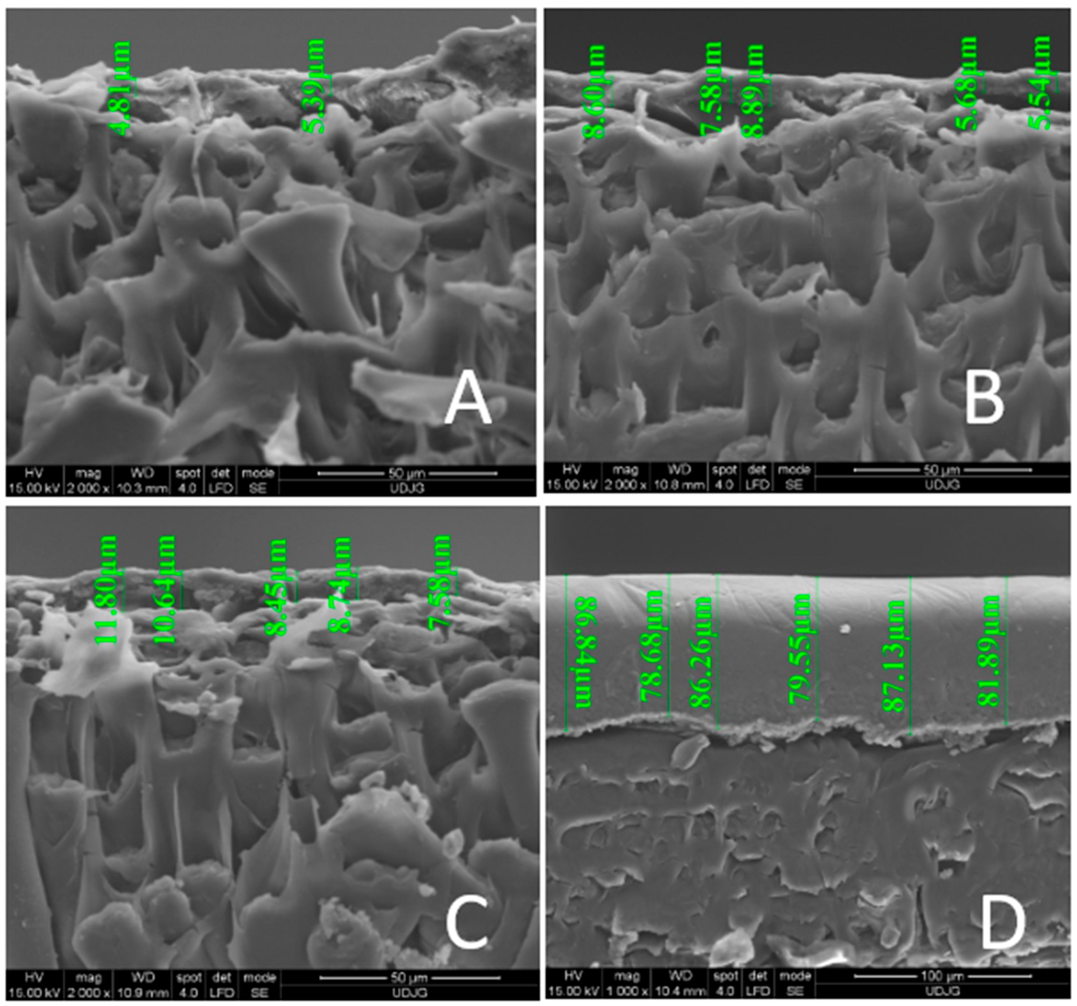 Separations 12 00272 g010