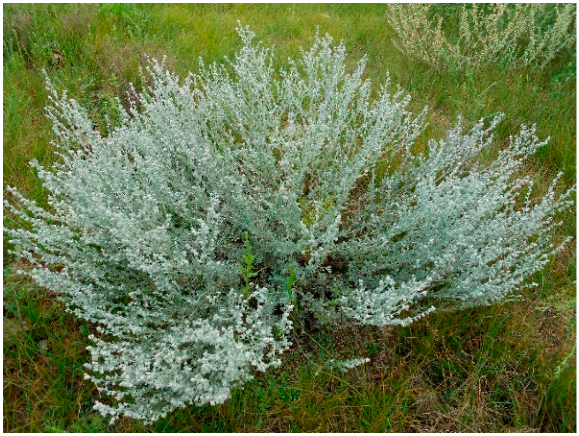 Separations 12 00280 g001