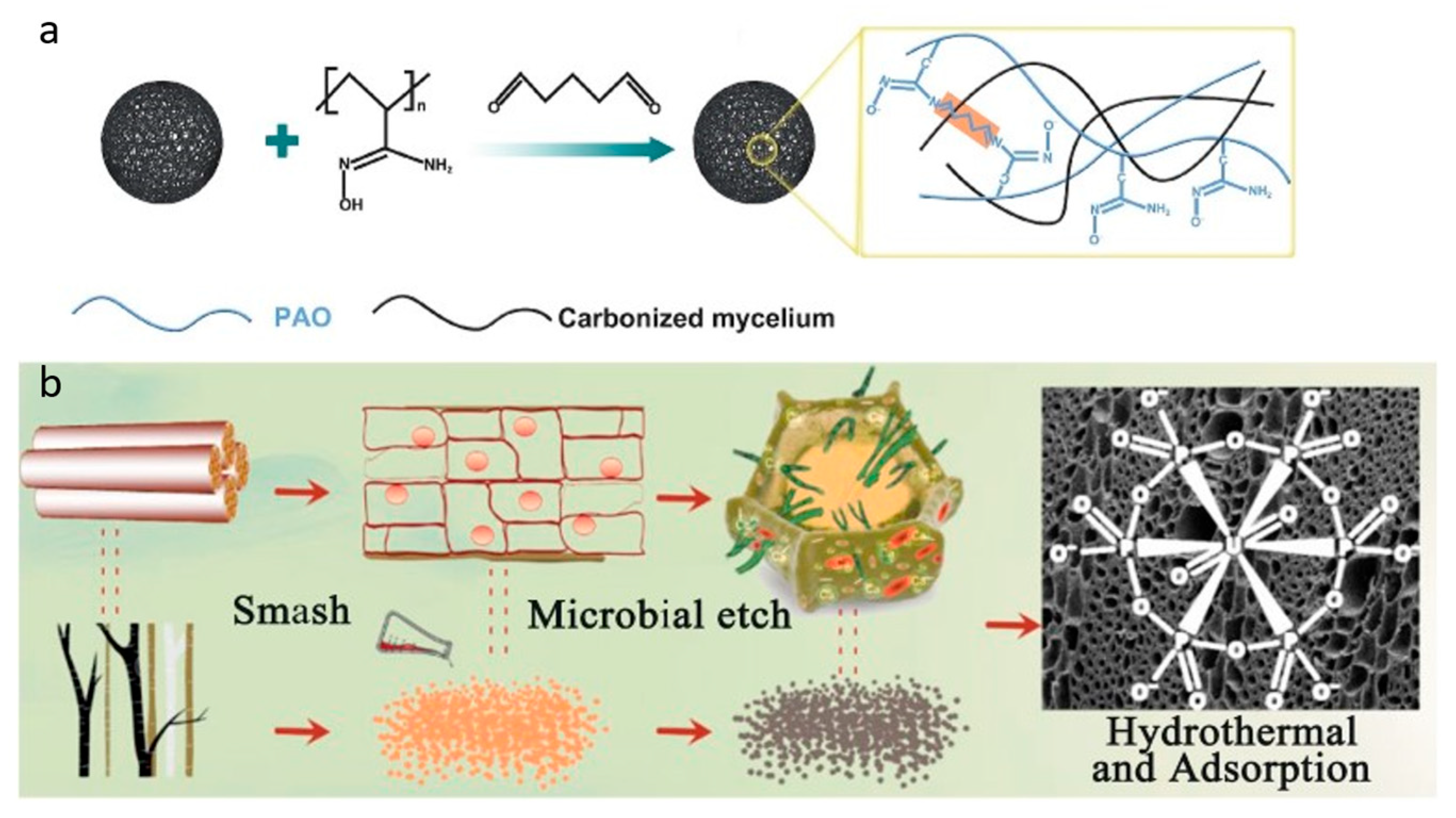 Separations 12 00283 g004 Separations 12 00283 g004
