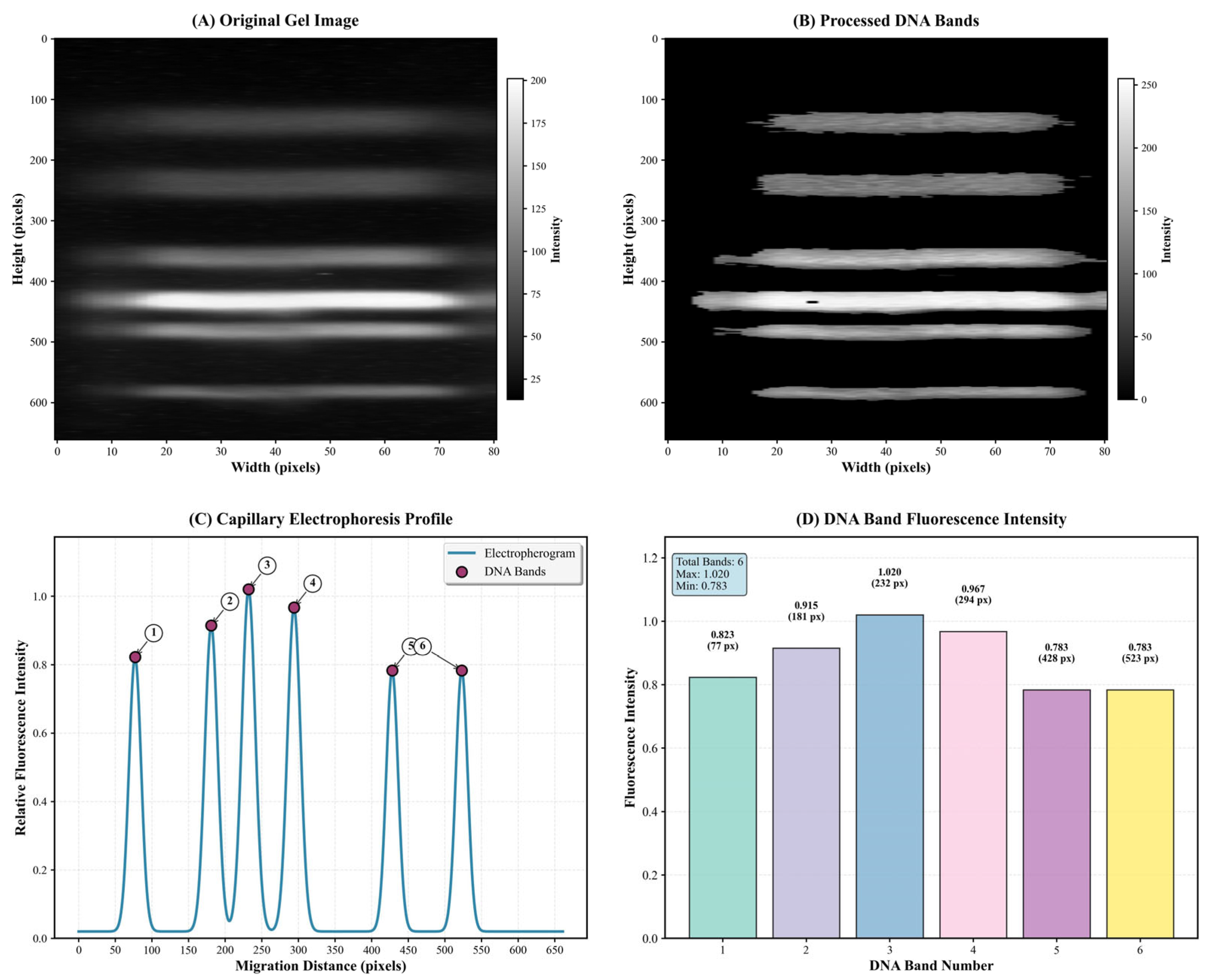 Separations 12 00296 g004 Separations 12 00296 g004