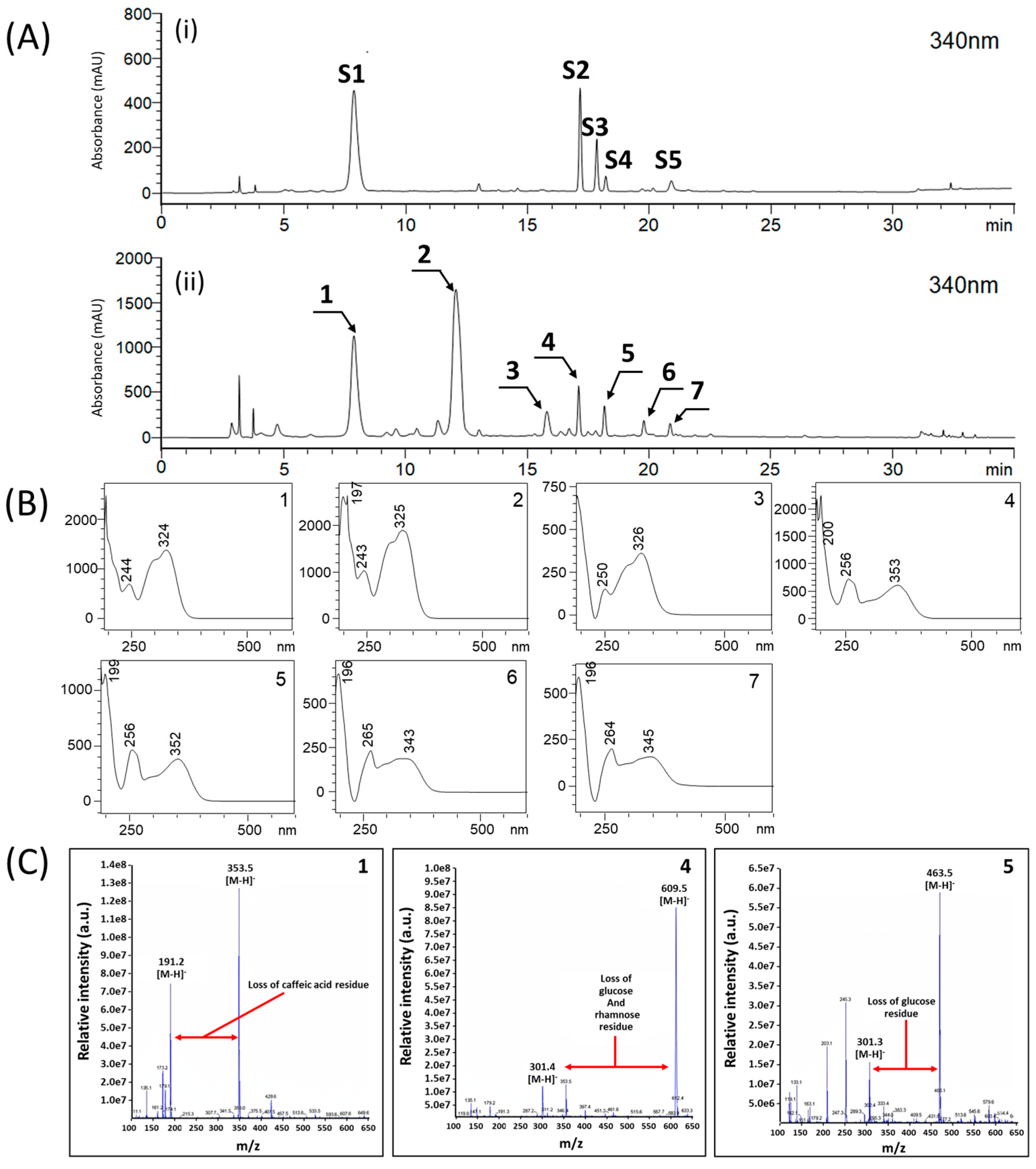 Separations 12 00298 g001 Separations 12 00298 g001