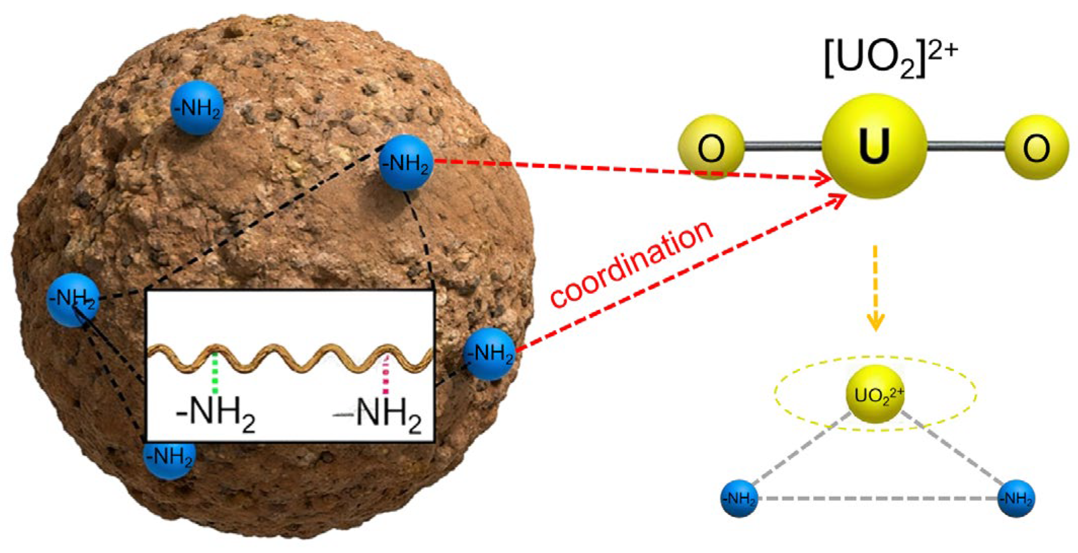 Separations 12 00300 g006