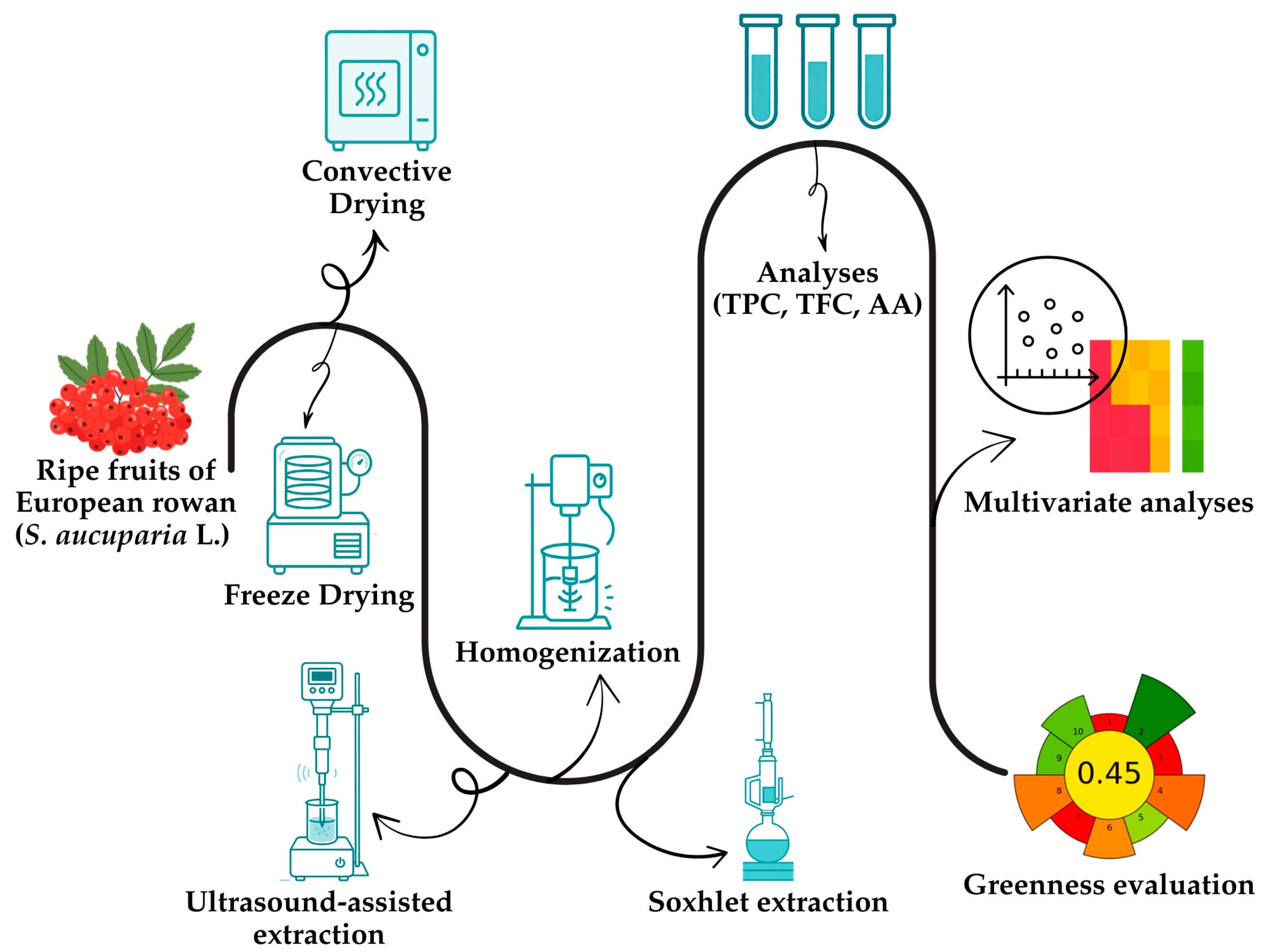Separations 12 00305 g001 Separations 12 00305 g001