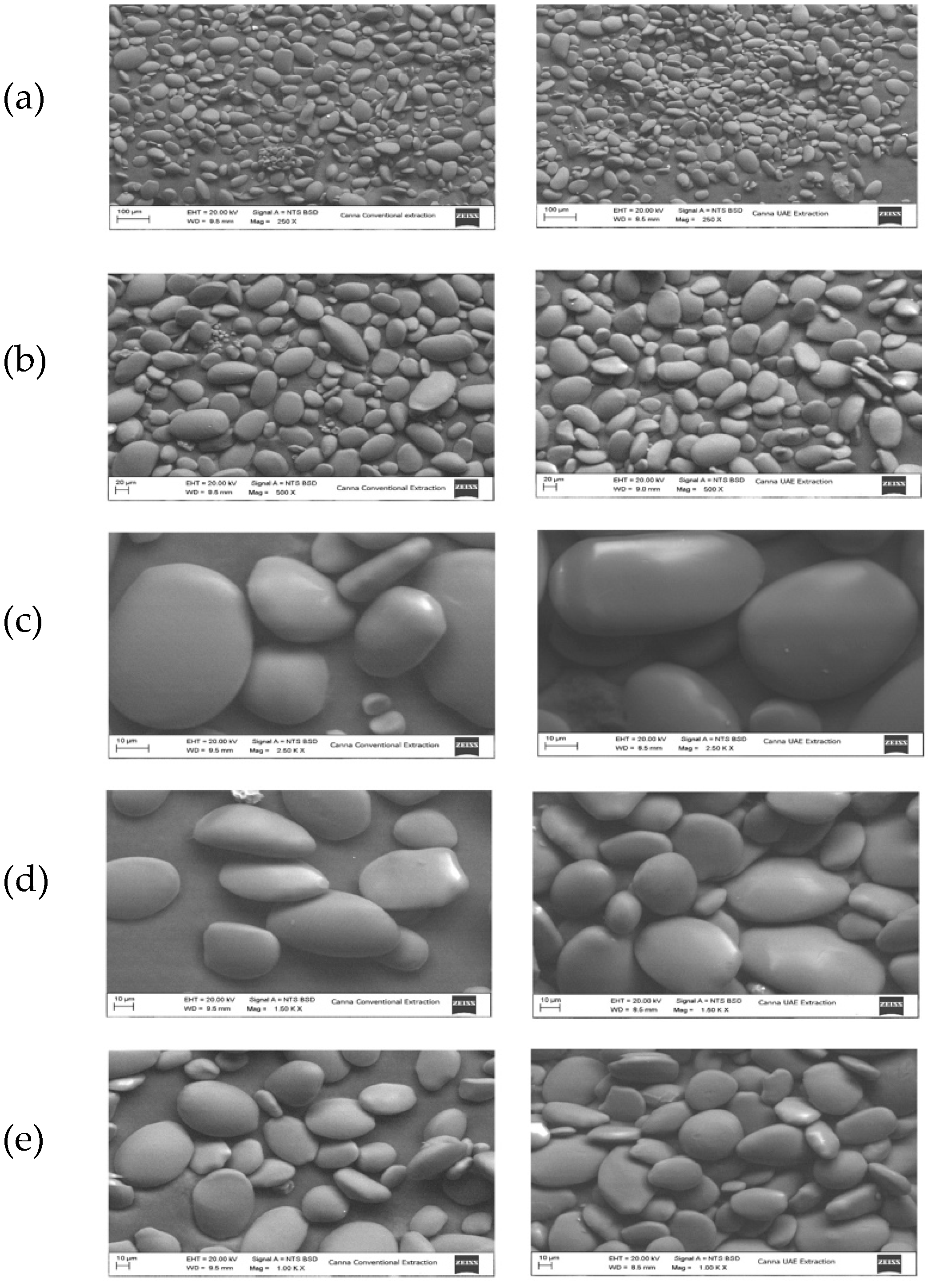 Separations 12 00307 g003