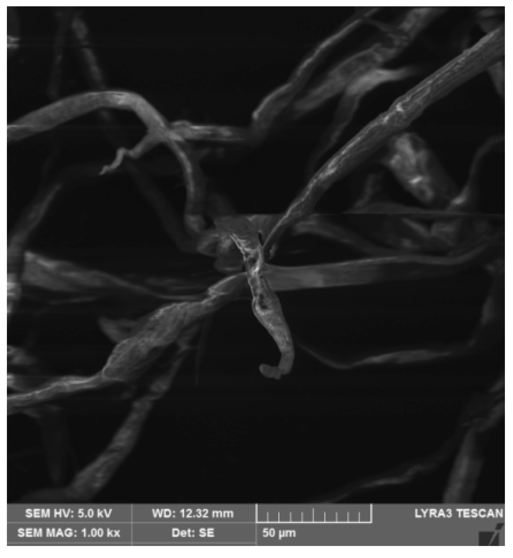 Separations 12 00319 g002 Separations 12 00319 g002