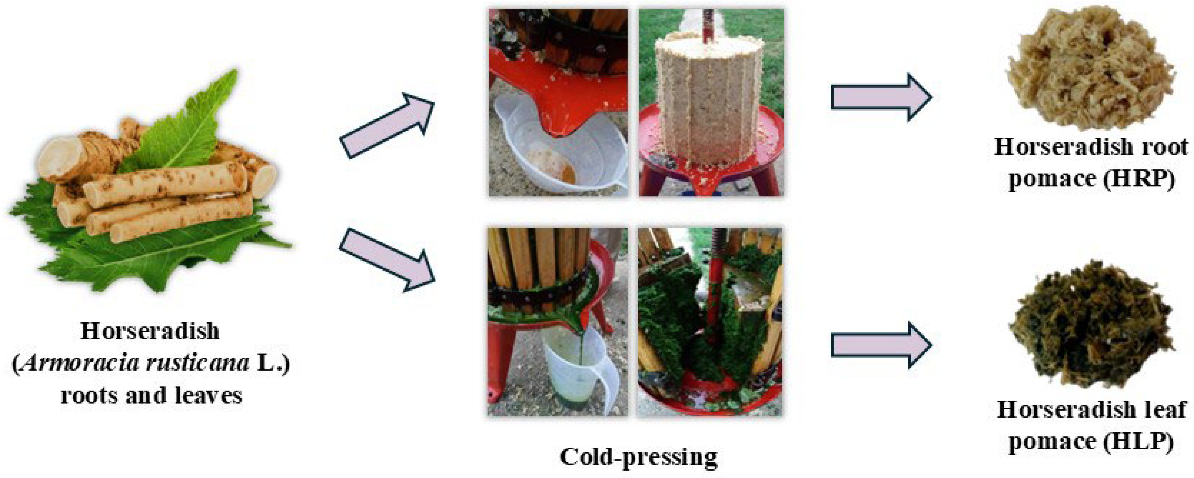 Separations 12 00330 g001 Separations 12 00330 g001