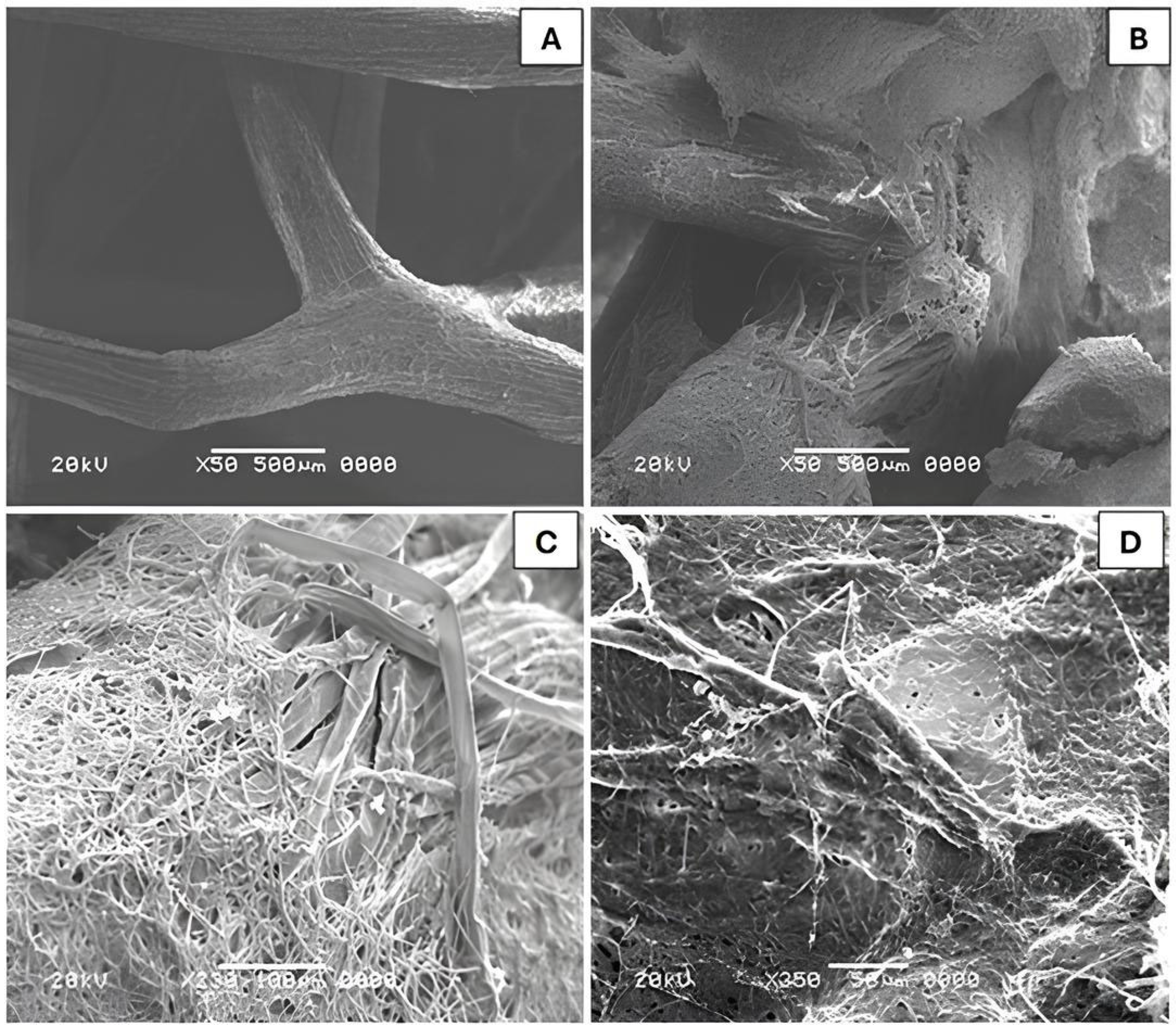 Separations 13 00001 g009