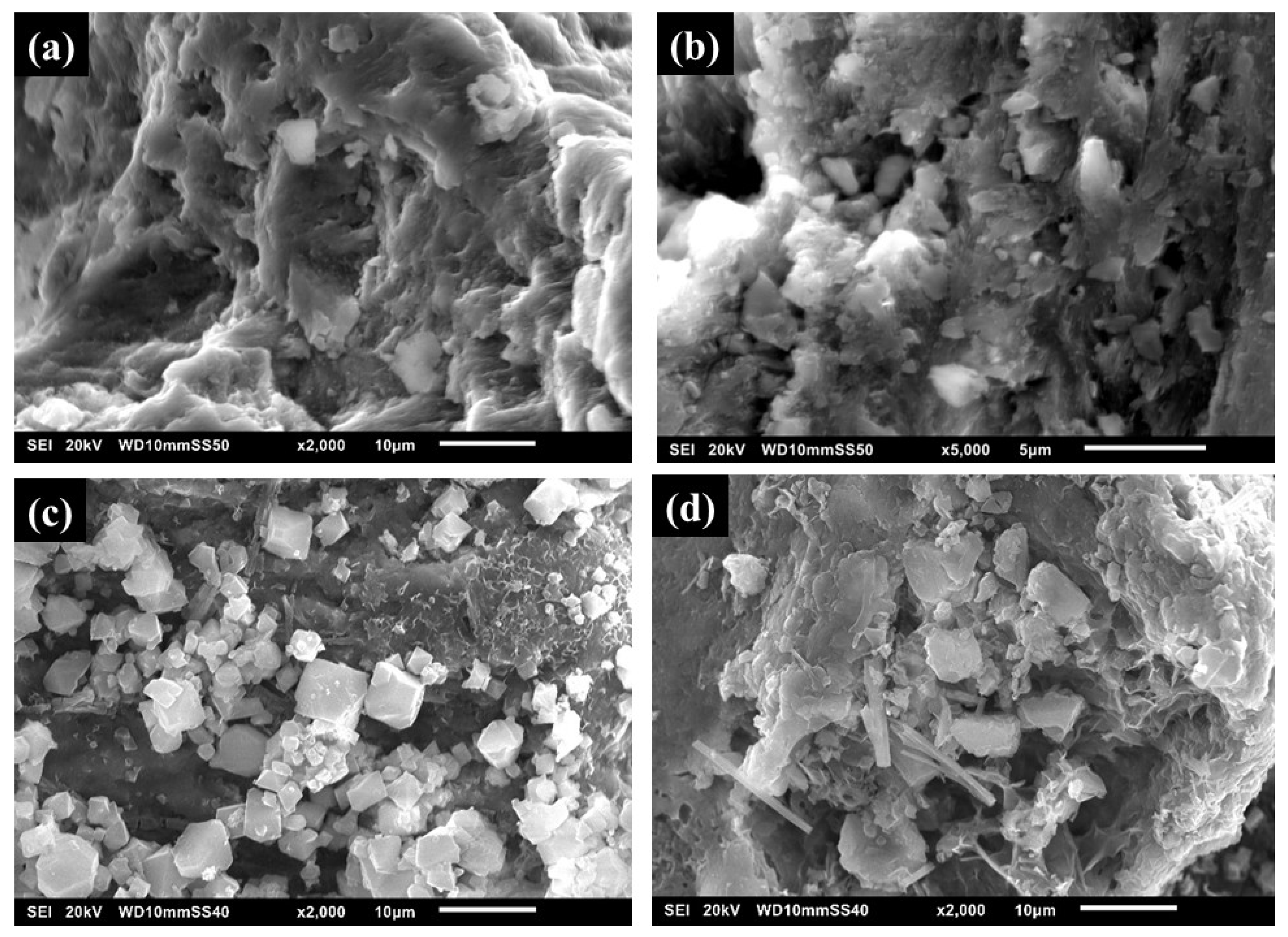 Separations 13 00011 g005 Separations 13 00011 g005