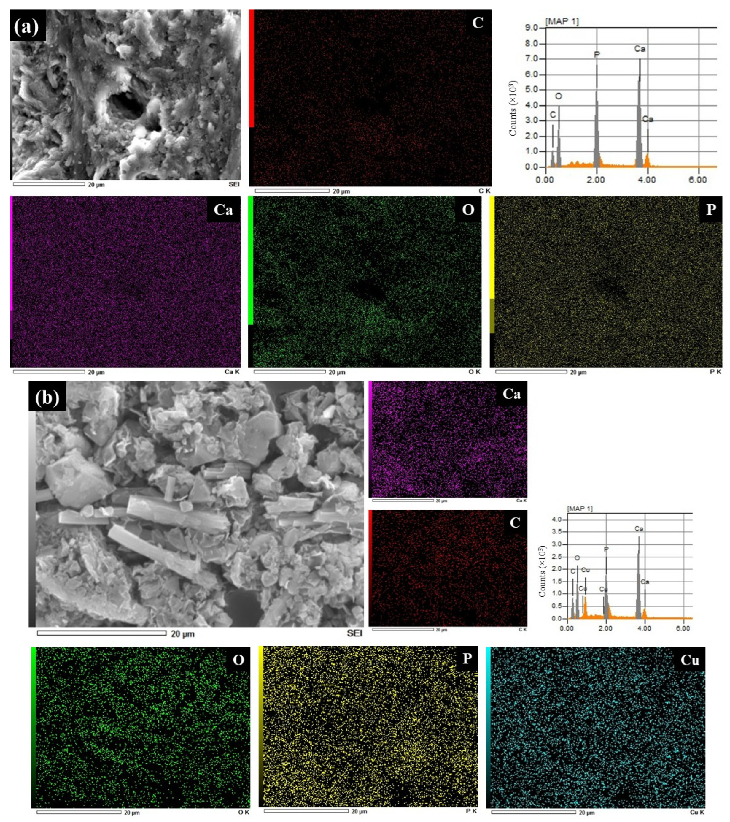 Separations 13 00011 g006 Separations 13 00011 g006