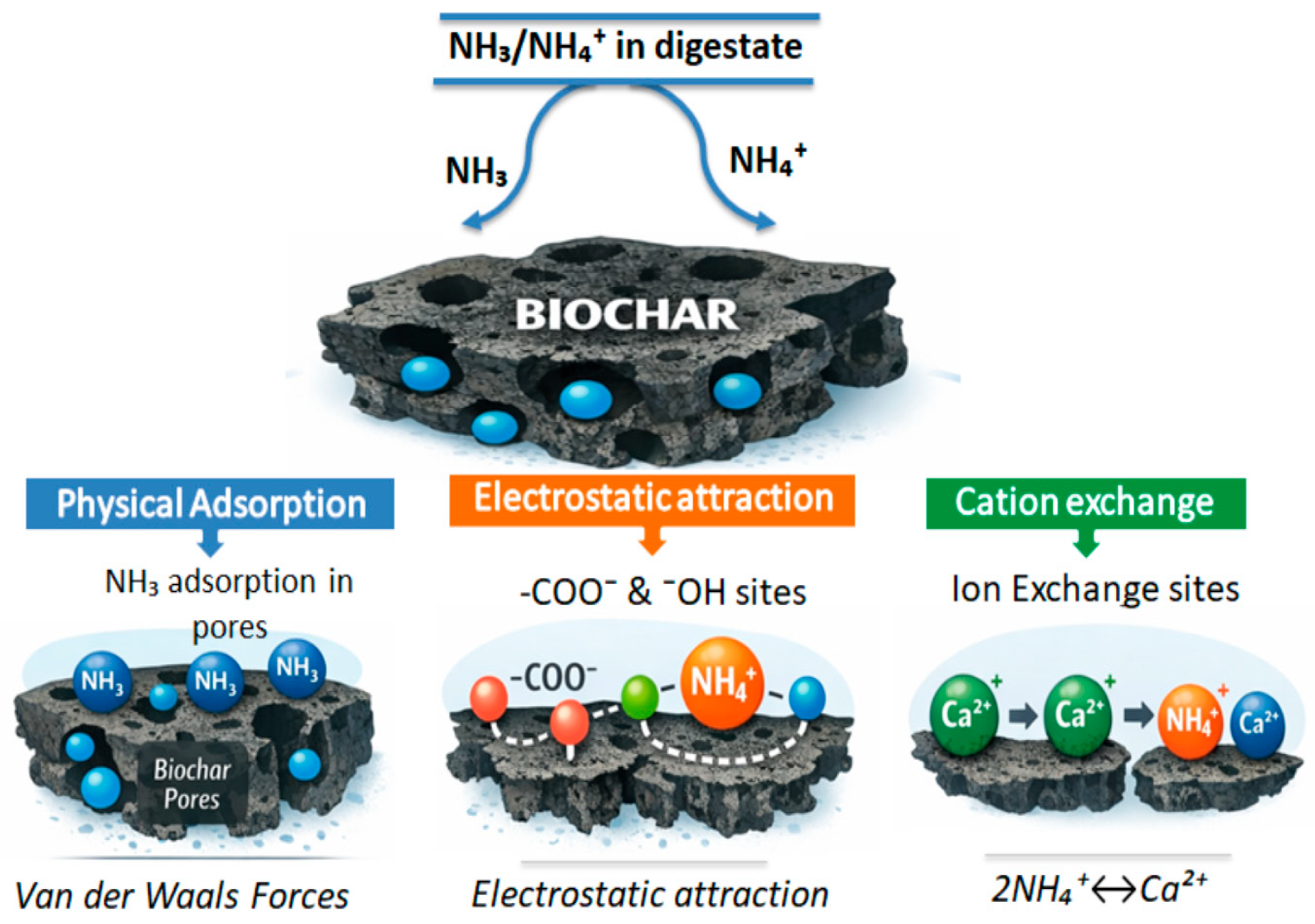 Separations 13 00018 g003