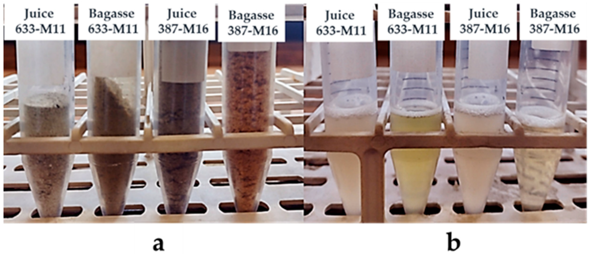 Separations 13 00029 g002