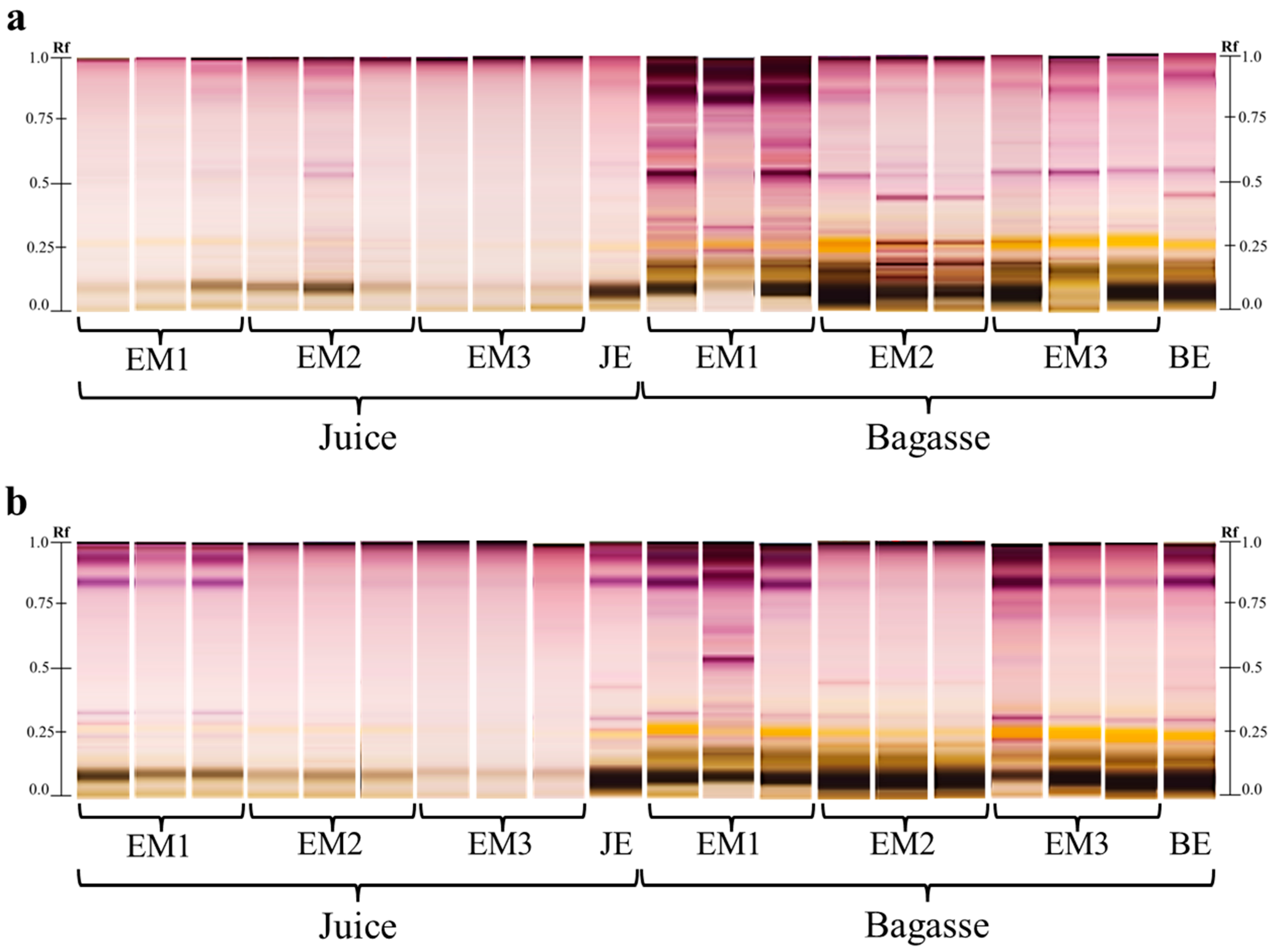 Separations 13 00029 g006