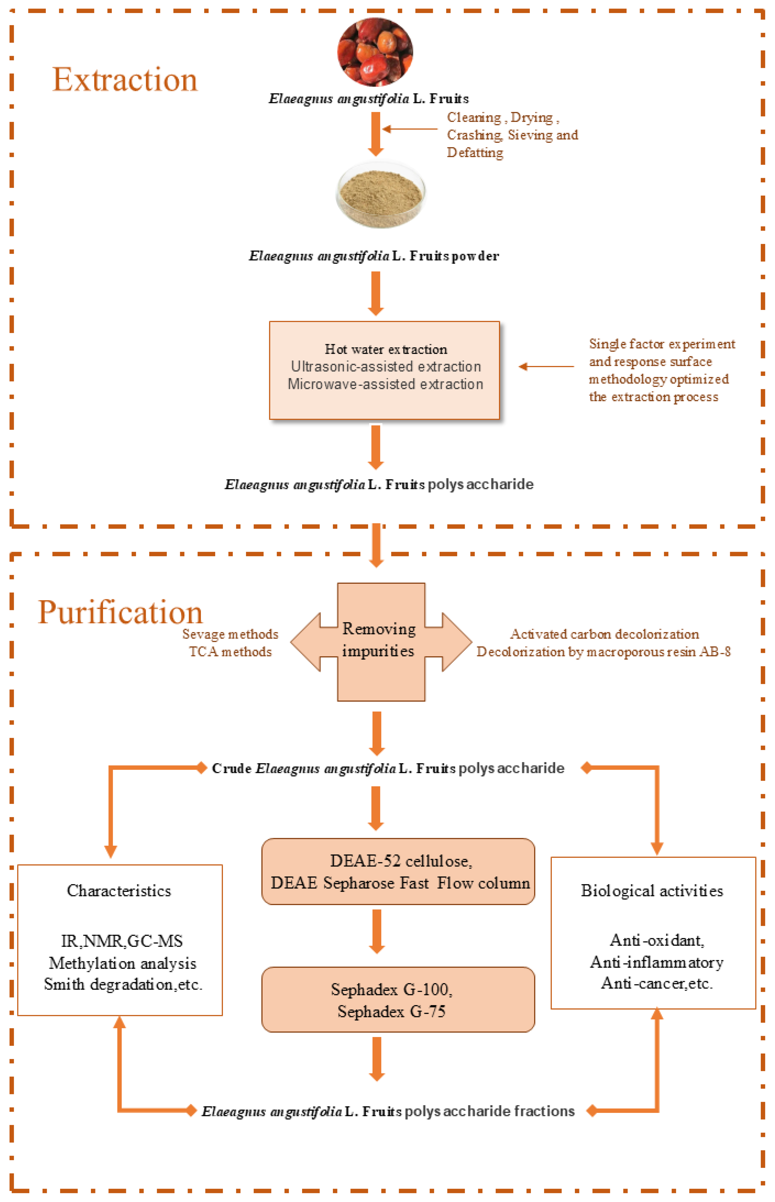 A Review on the Extraction, Purification, and Biological
