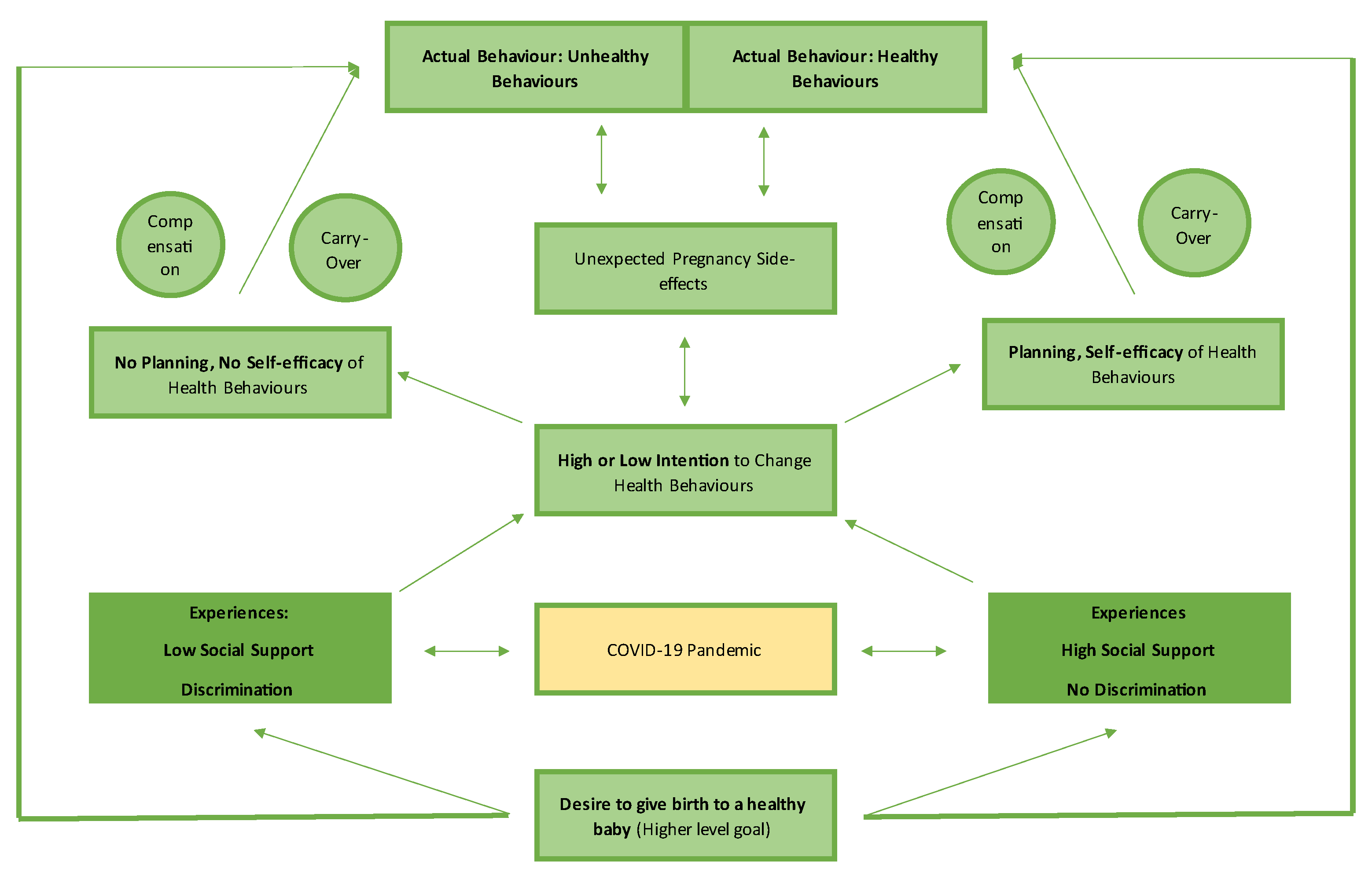 Sexes 03 00027 g002 550