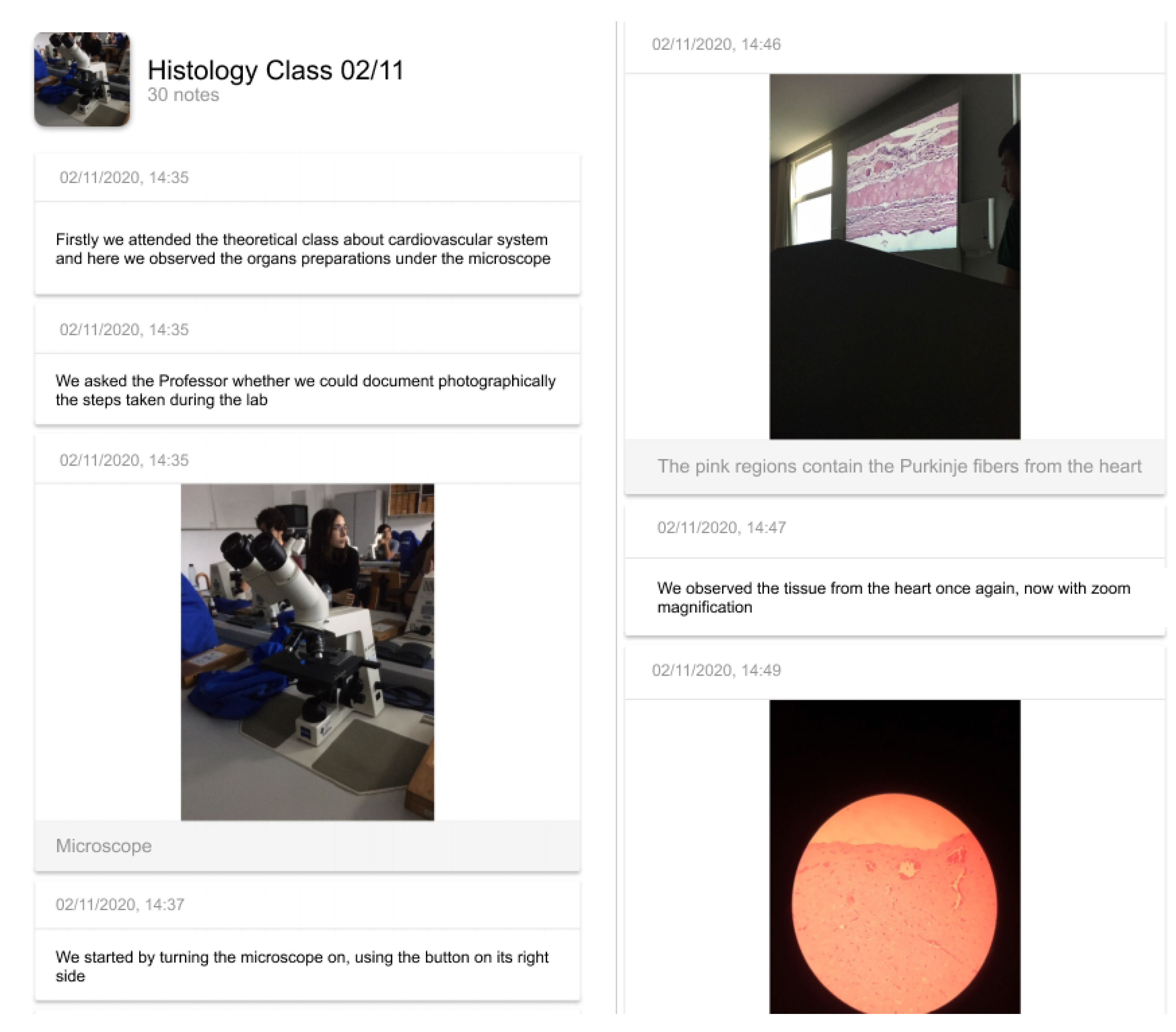 Signals 01 00006 g003