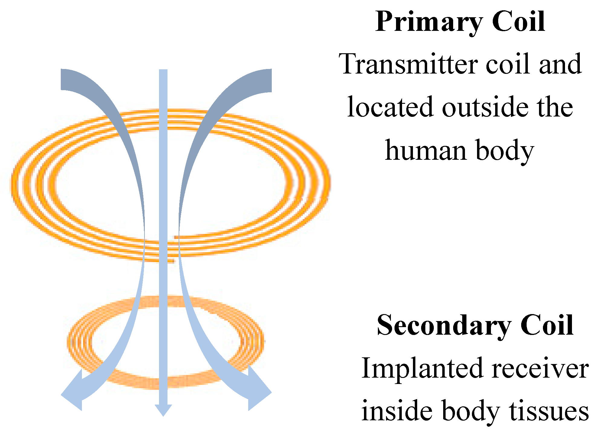 Signals 01 00012 g002 Signals 01 00012 g002
