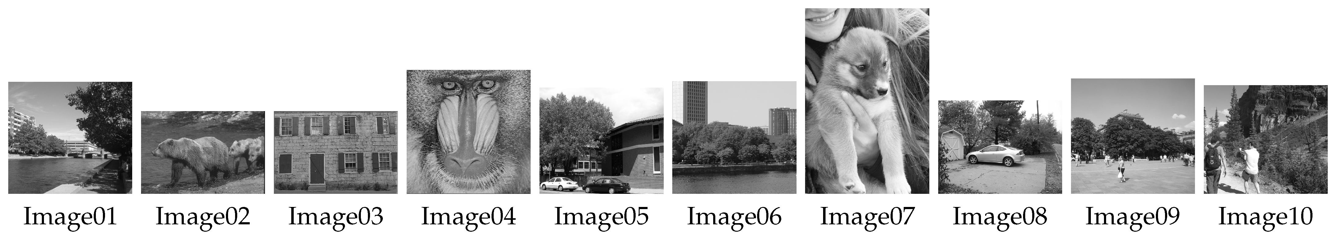 Signals 02 00019 g003