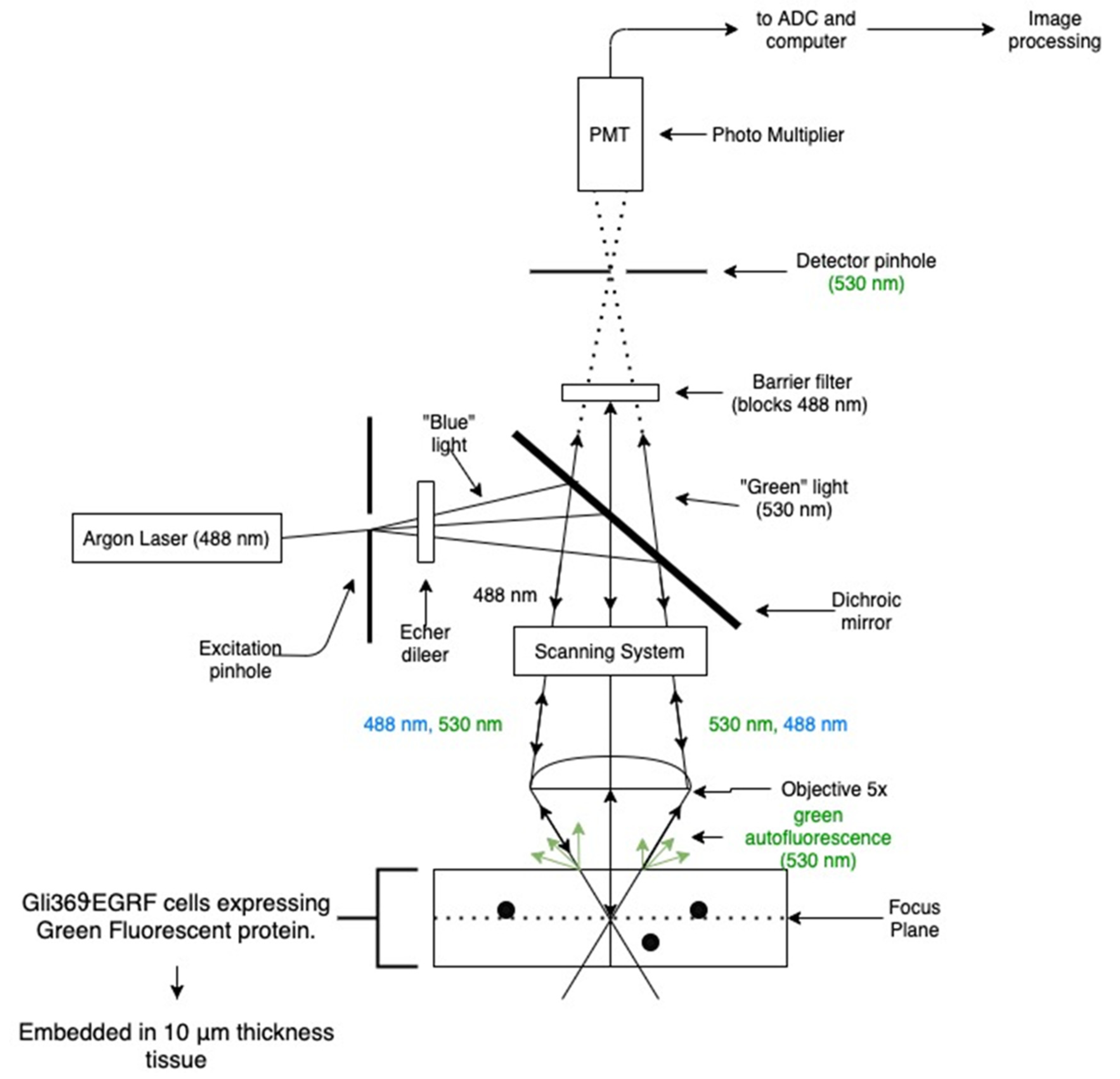 Signals 02 00020 g001