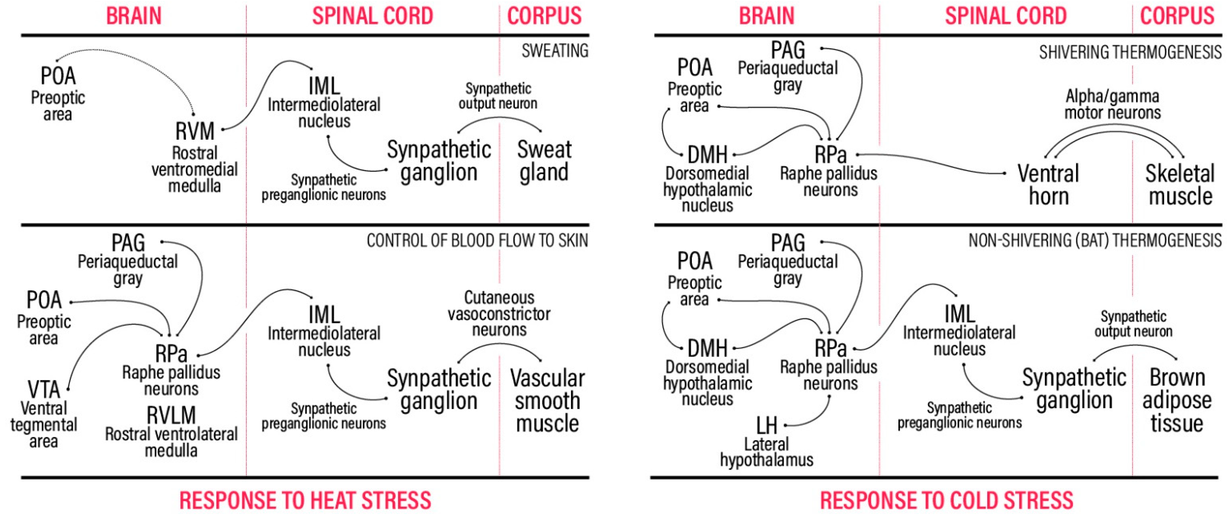Signals 02 00050 g001 550