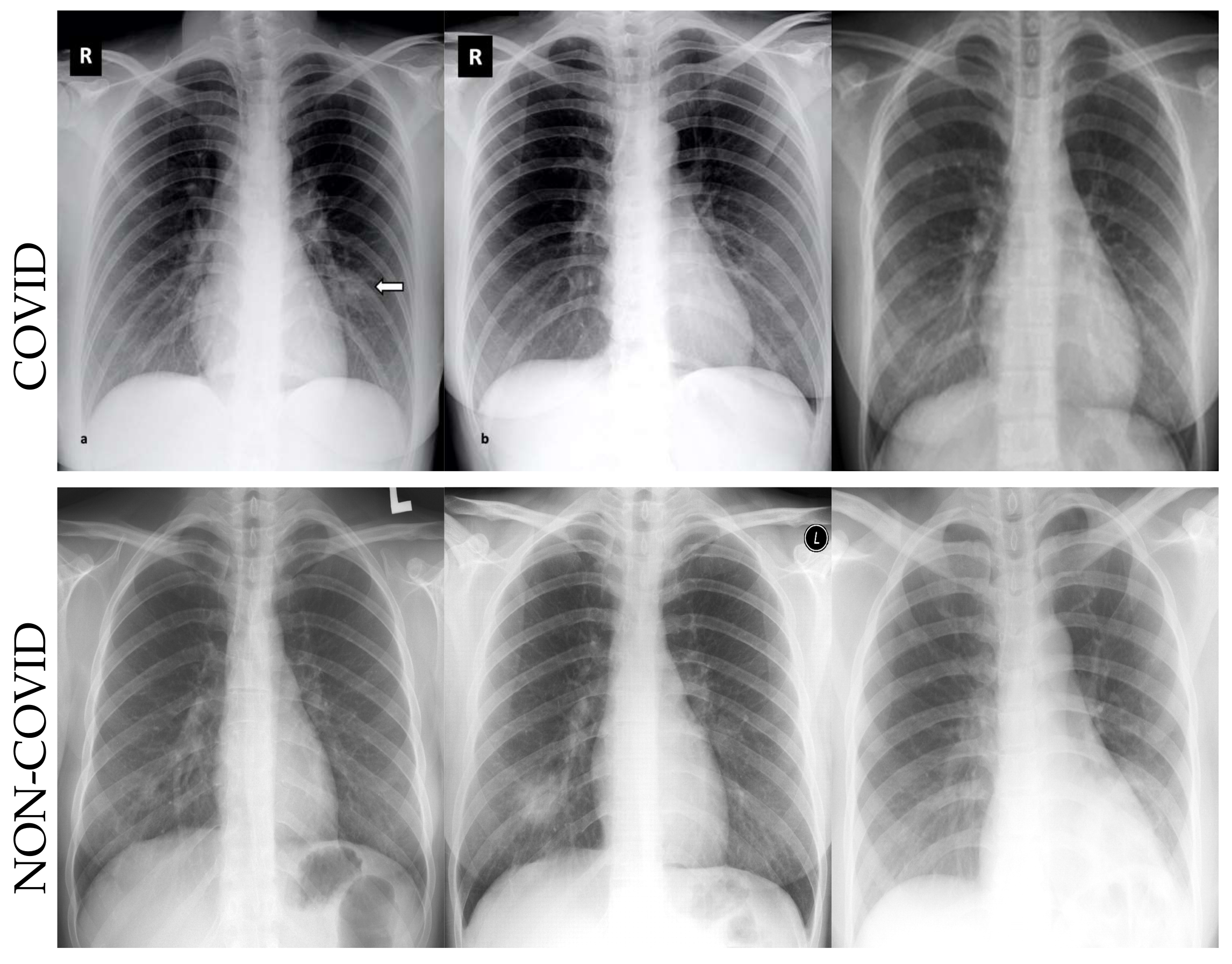 Signals 03 00019 g002