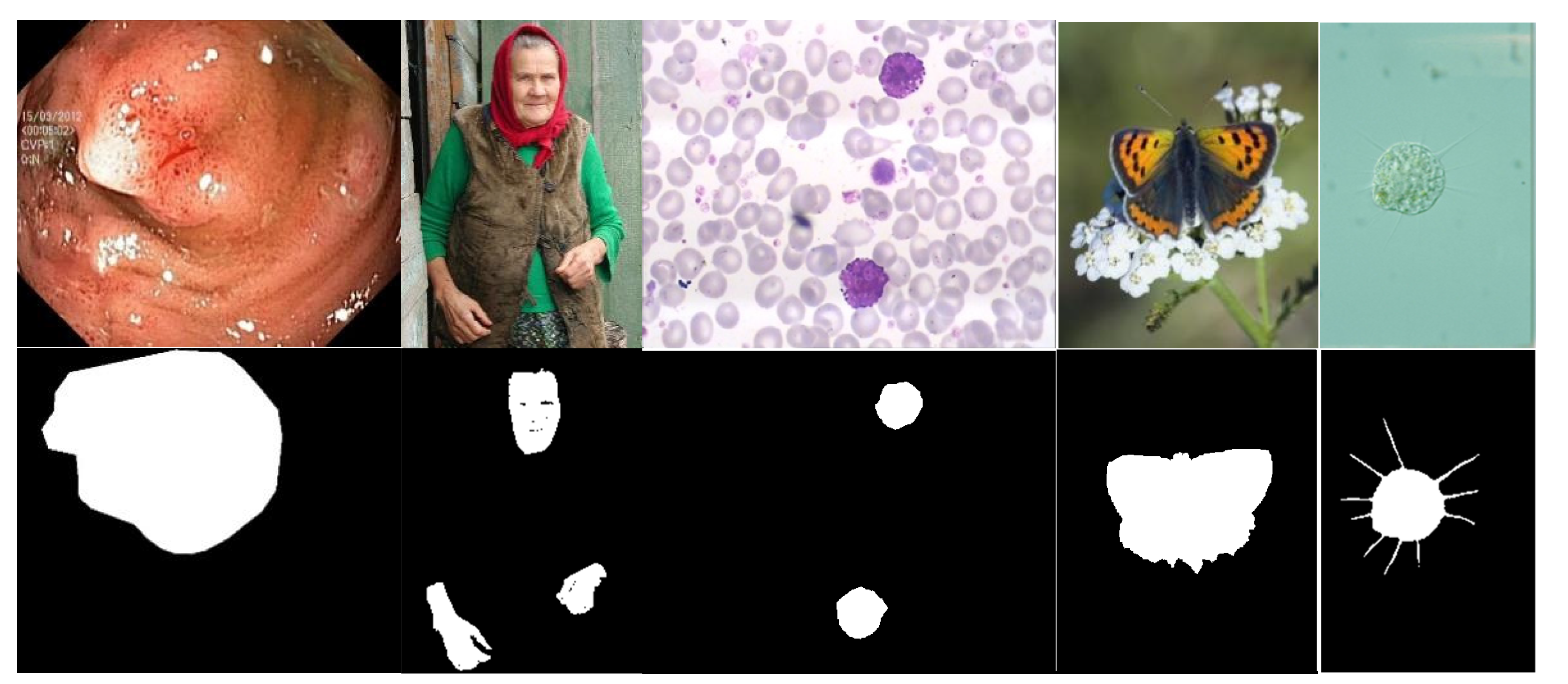 Signals 03 00022 g001 550