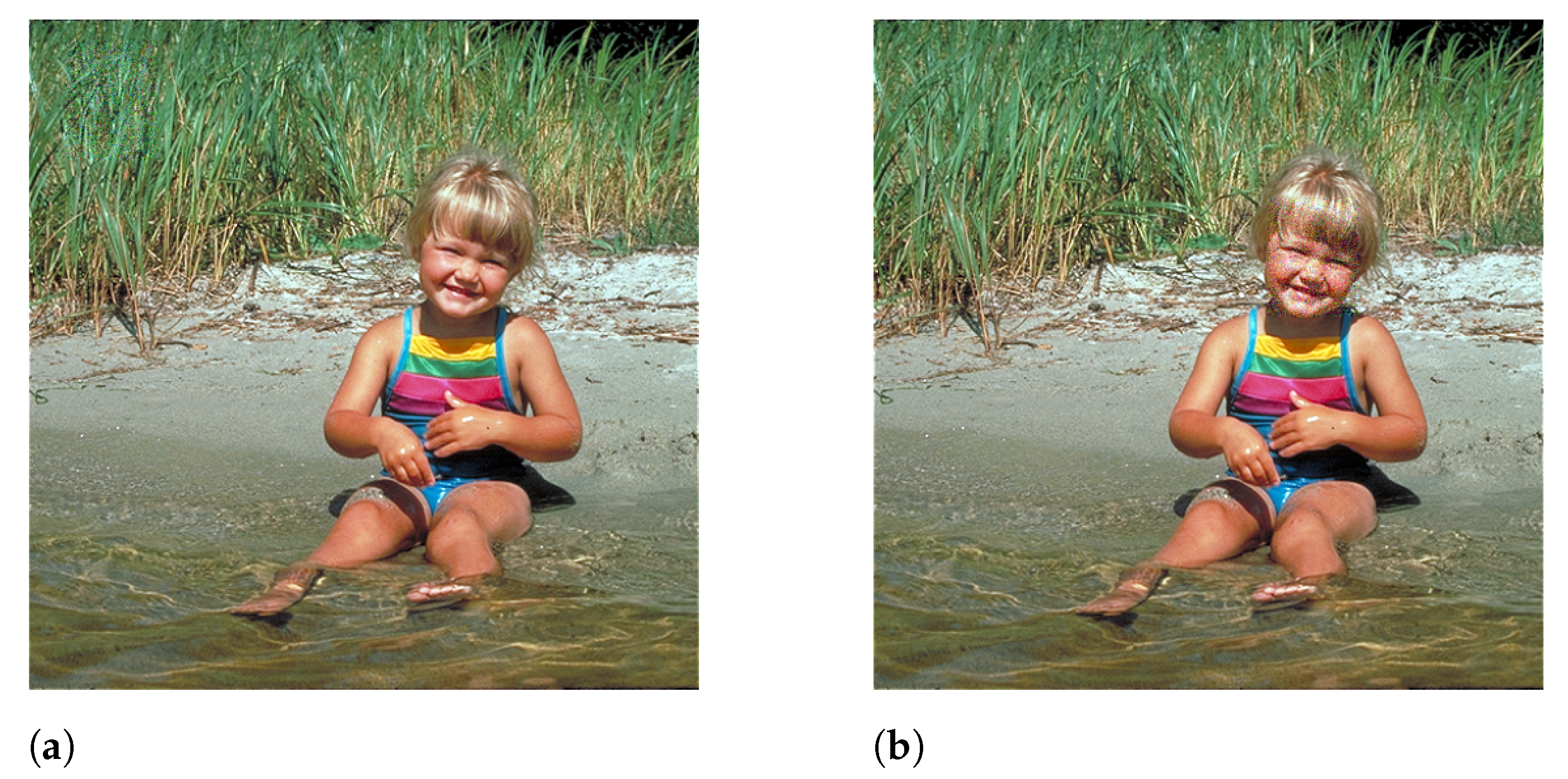 Signals 03 00028 g001 550