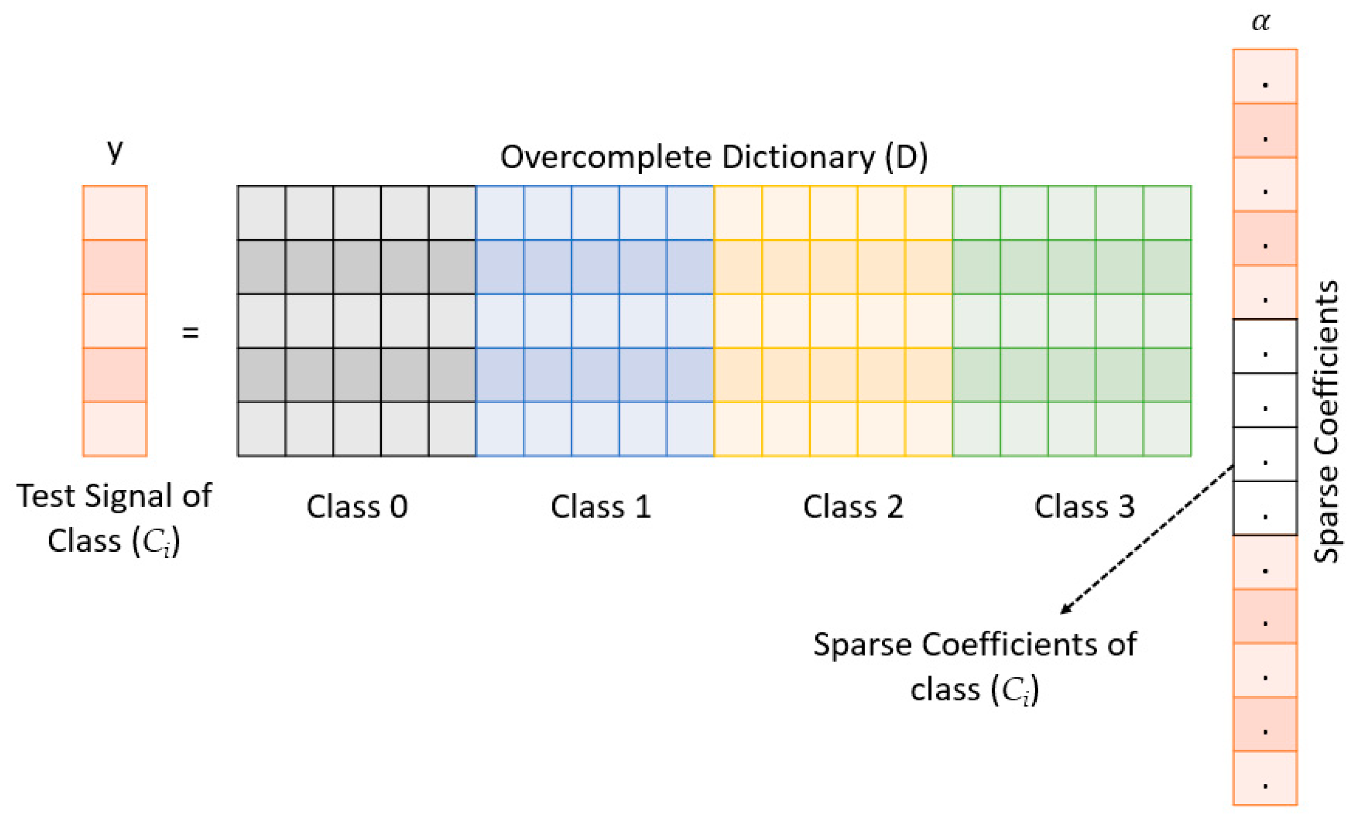 A Sparse Multiclass Motor Imagery EEG Classification Using 1D-ConvResNet