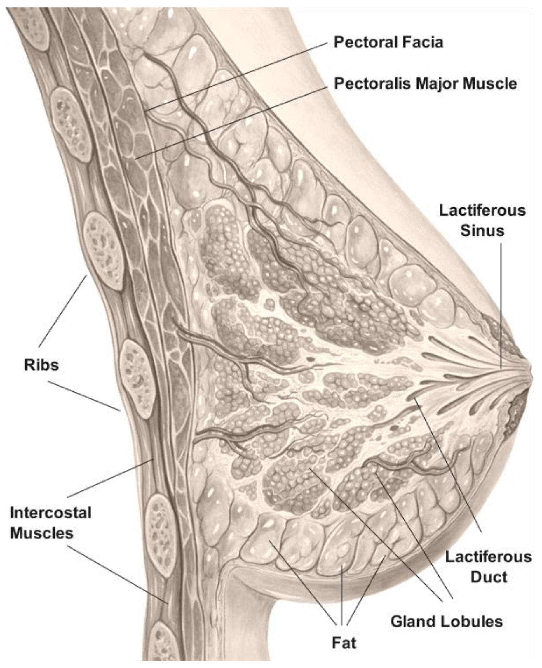 Signals 04 00022 g001