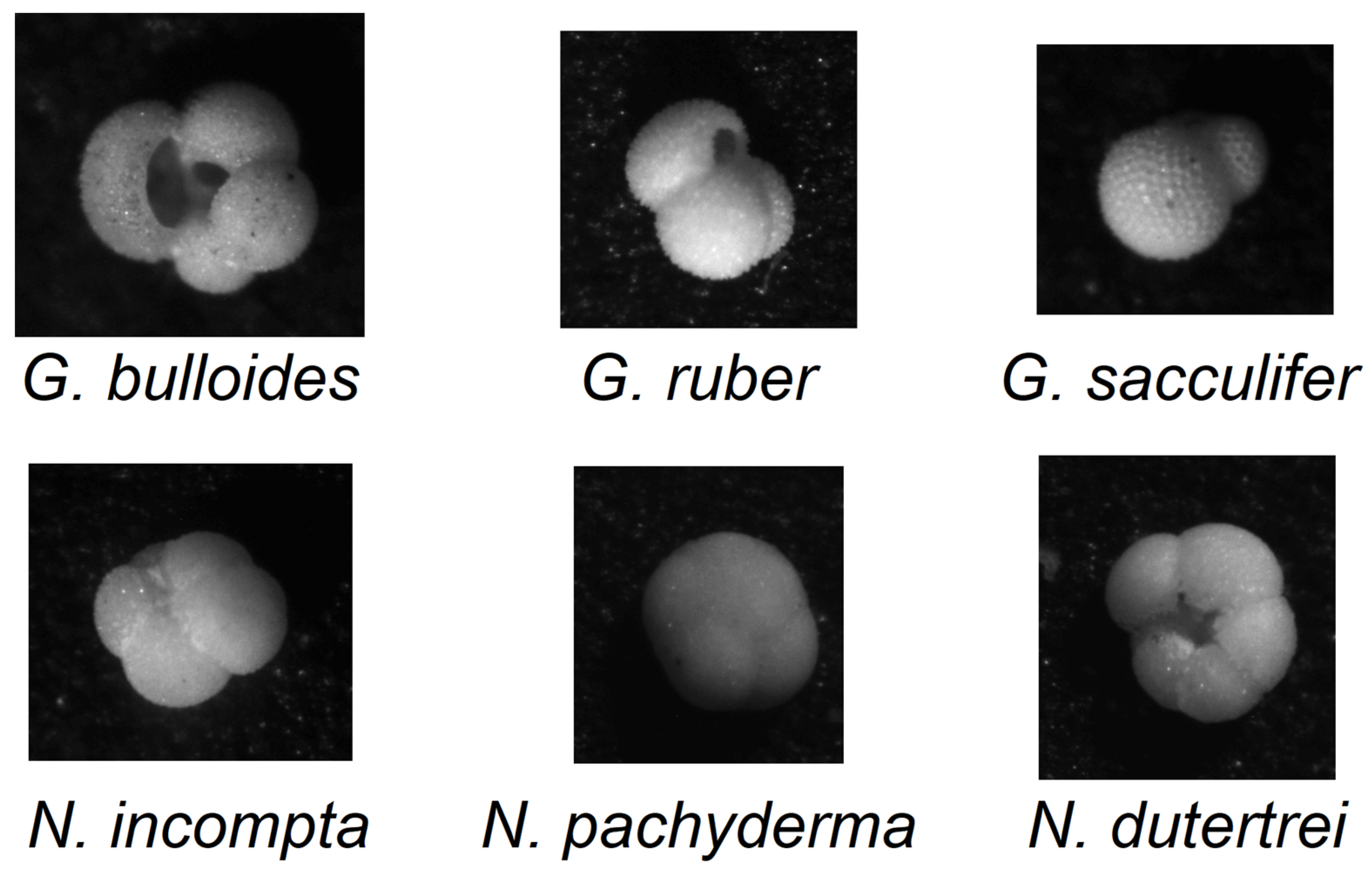 Signals 04 00028 g001