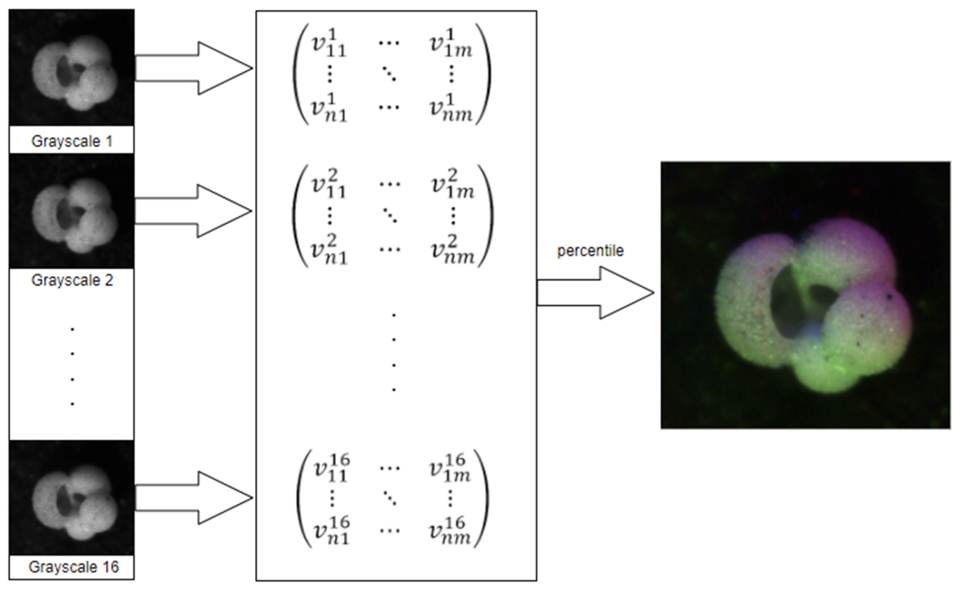 Signals 04 00028 g003